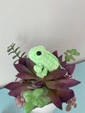 Tiny Tree Frog