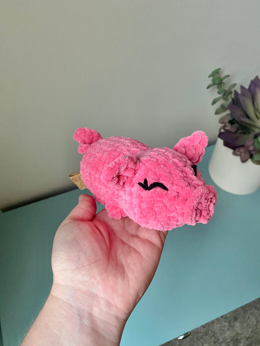 Petunia the Pig