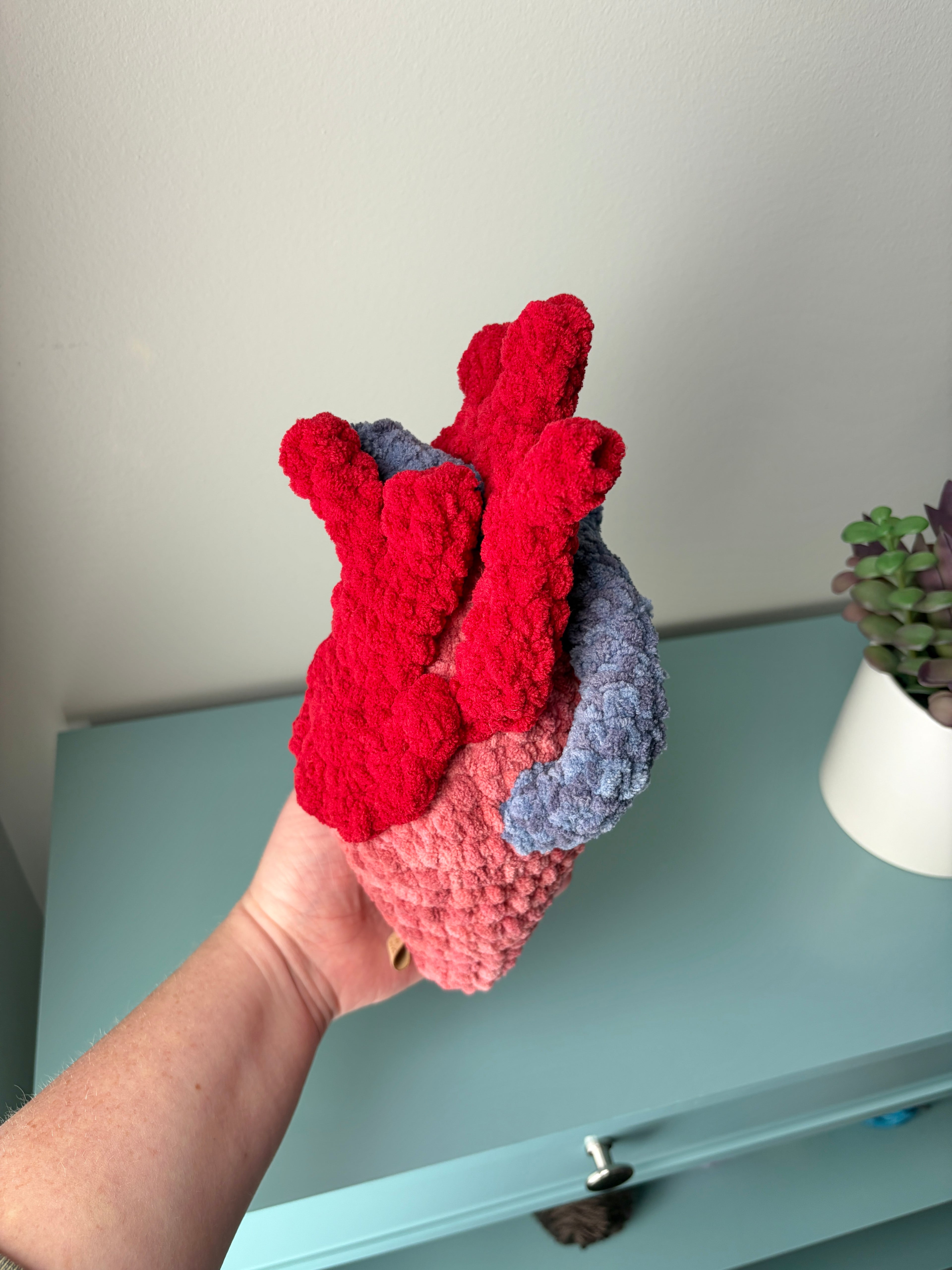 Anatomical Heart