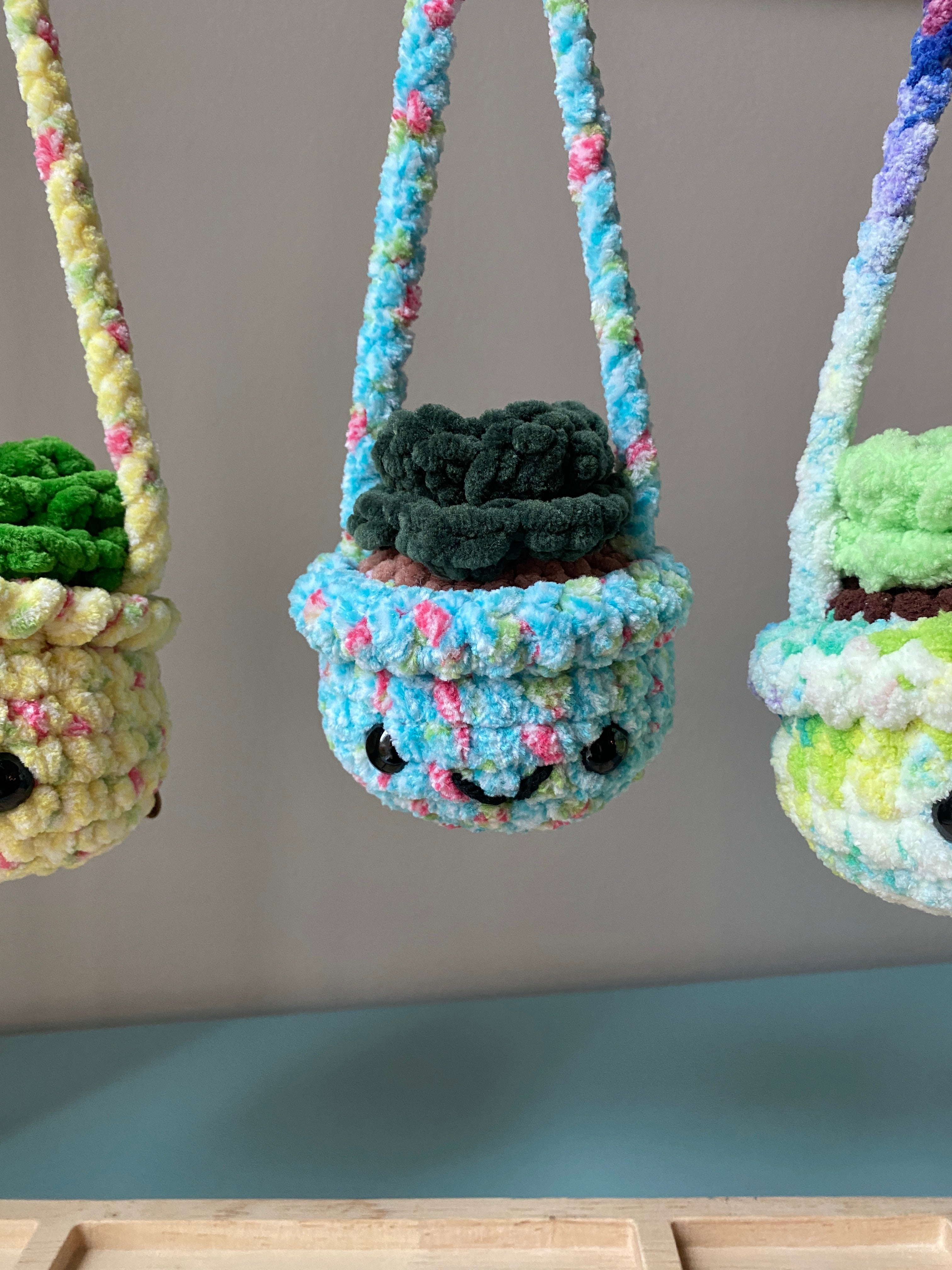 Hanging Plant - Echeveria Succulent