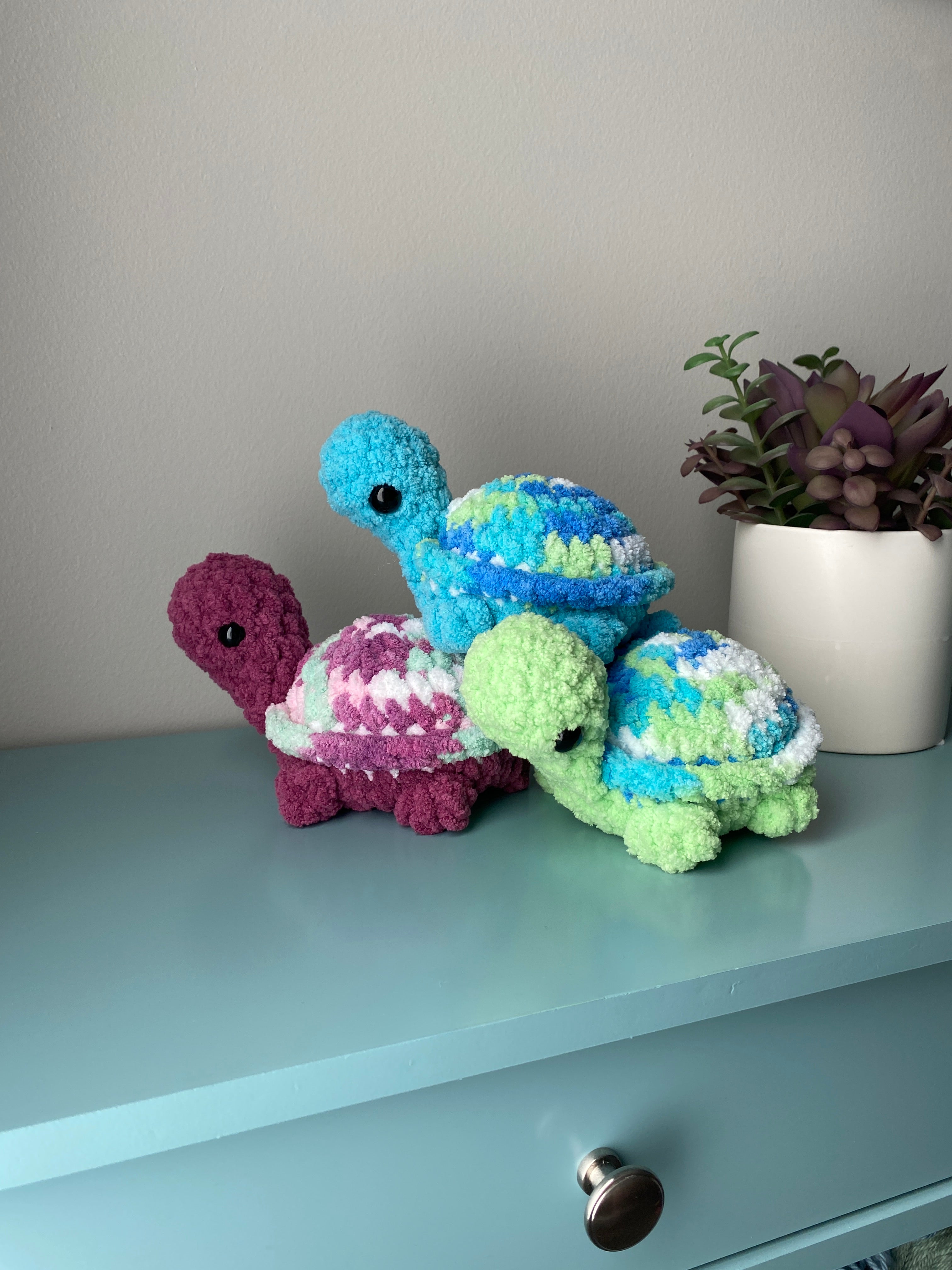 Tofu the Land Turtle