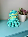 Jerry the Jellyfish