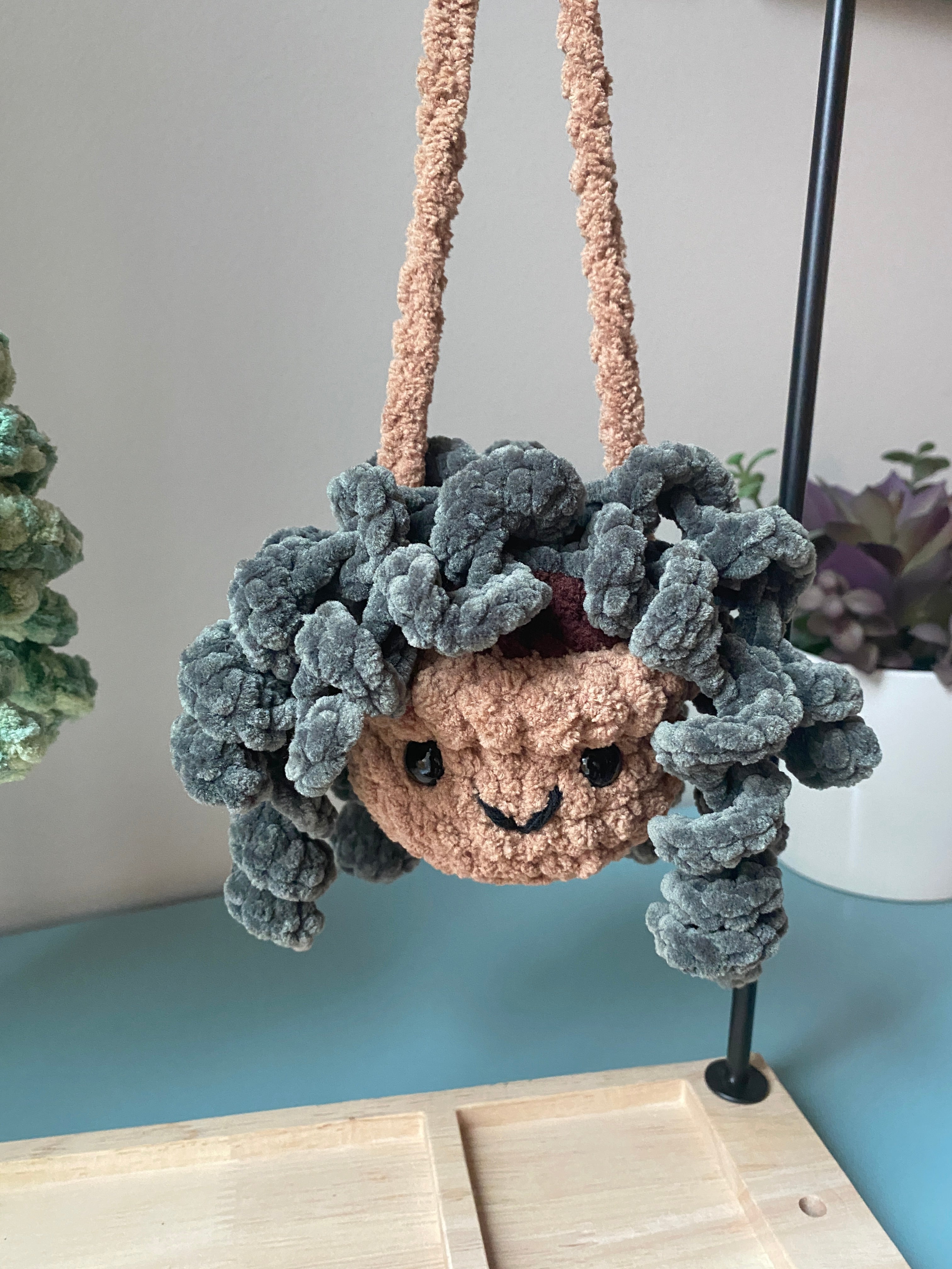 Hanging Plant - Curly