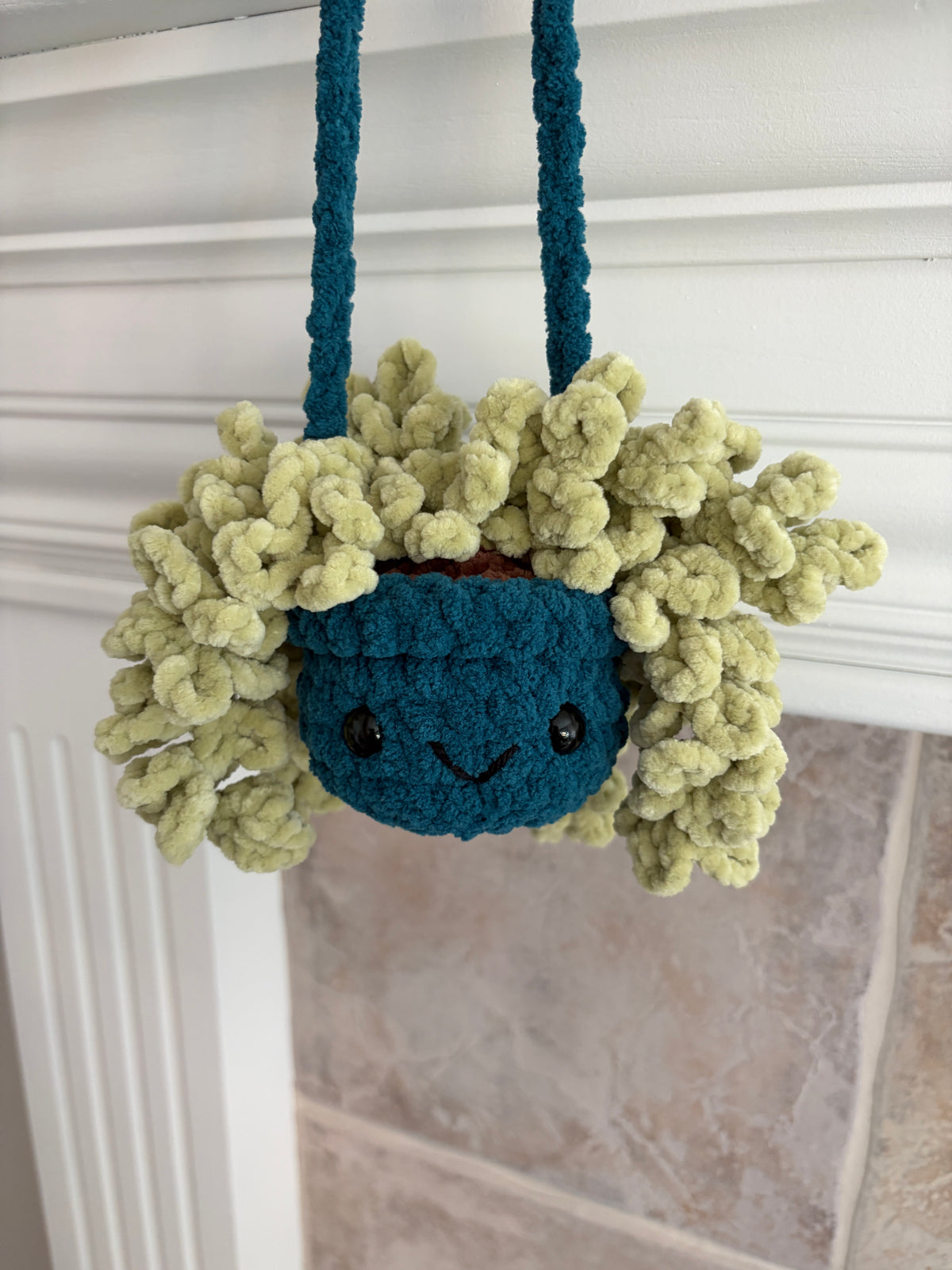 Hanging Plant - Burrow’s Tail