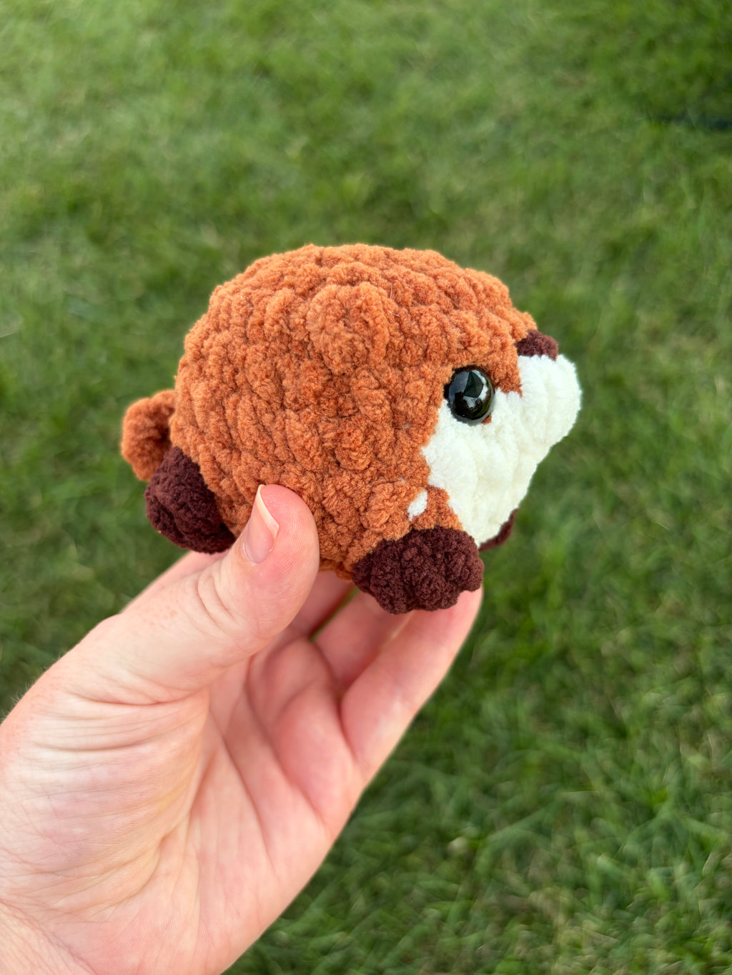 Pet - small