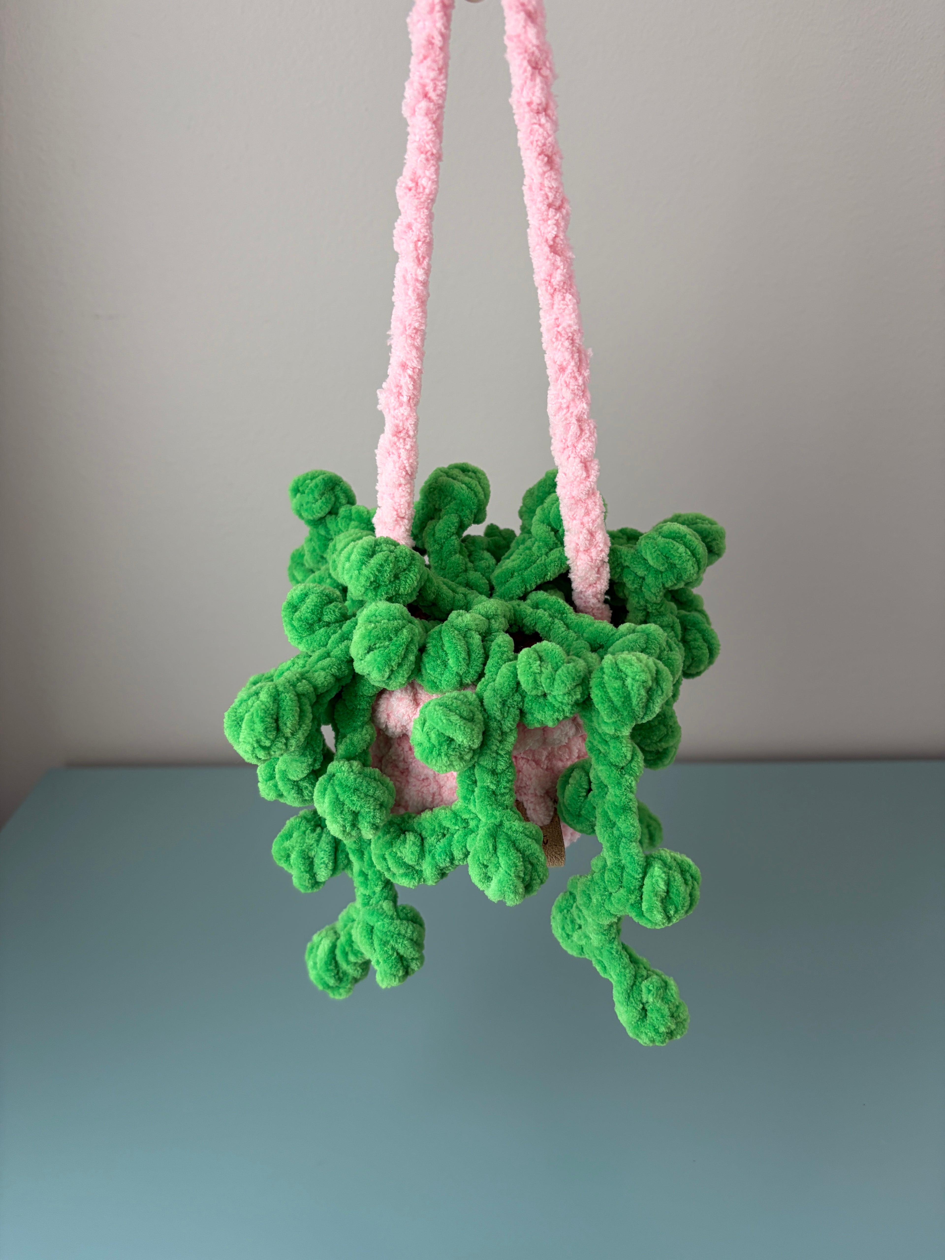 Hanging Plant - String of Pearls