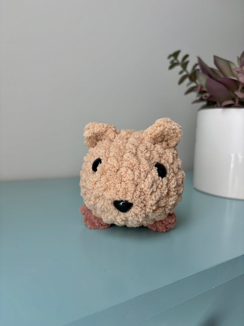 Pet - small