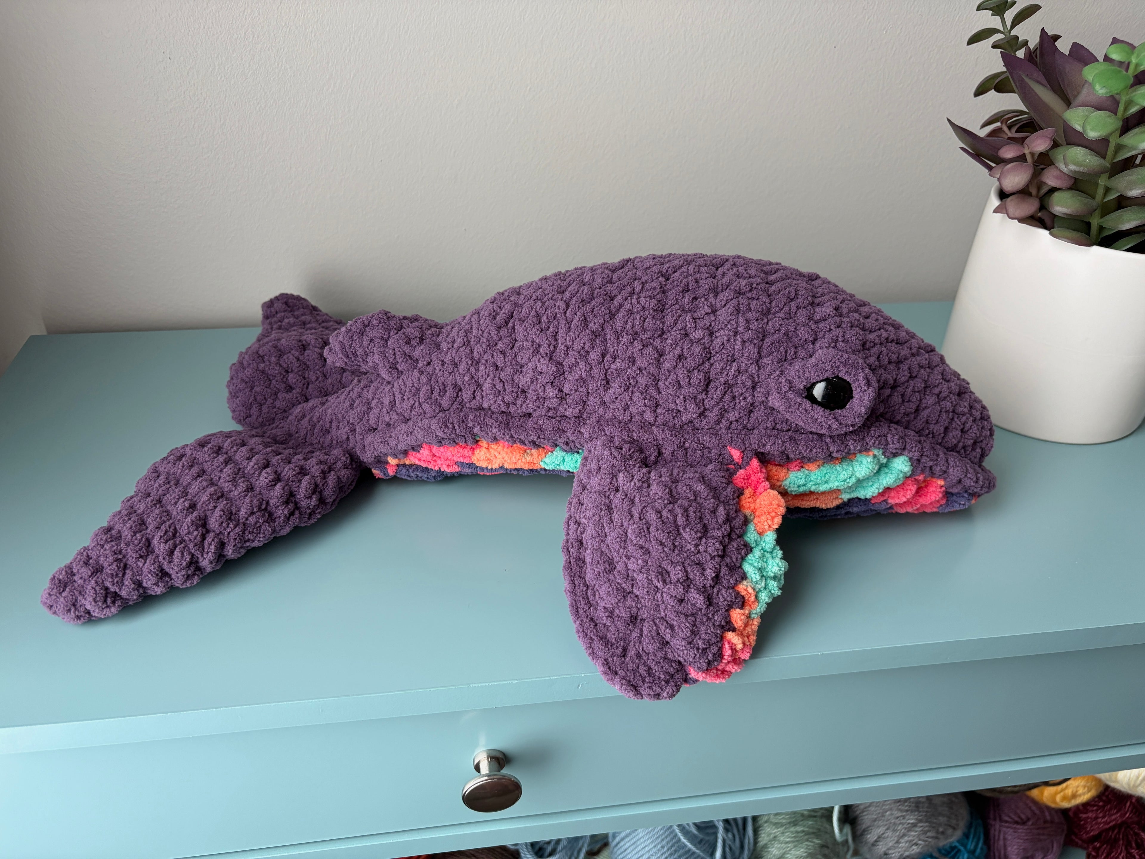 Hugo the mini Whale
