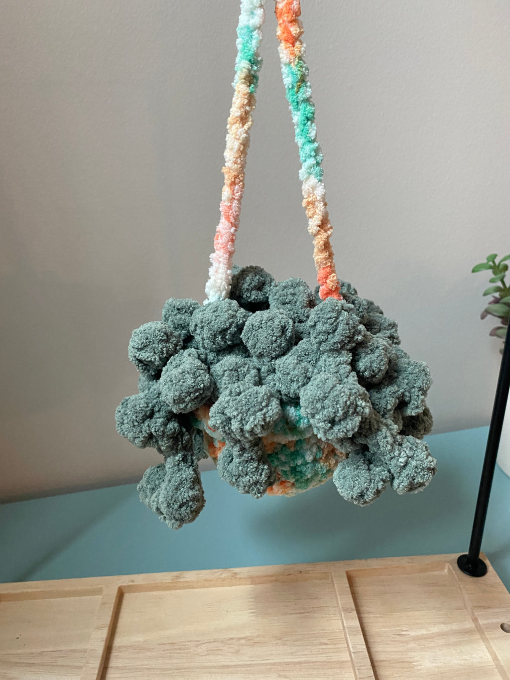 Hanging Plant - String of Pearls