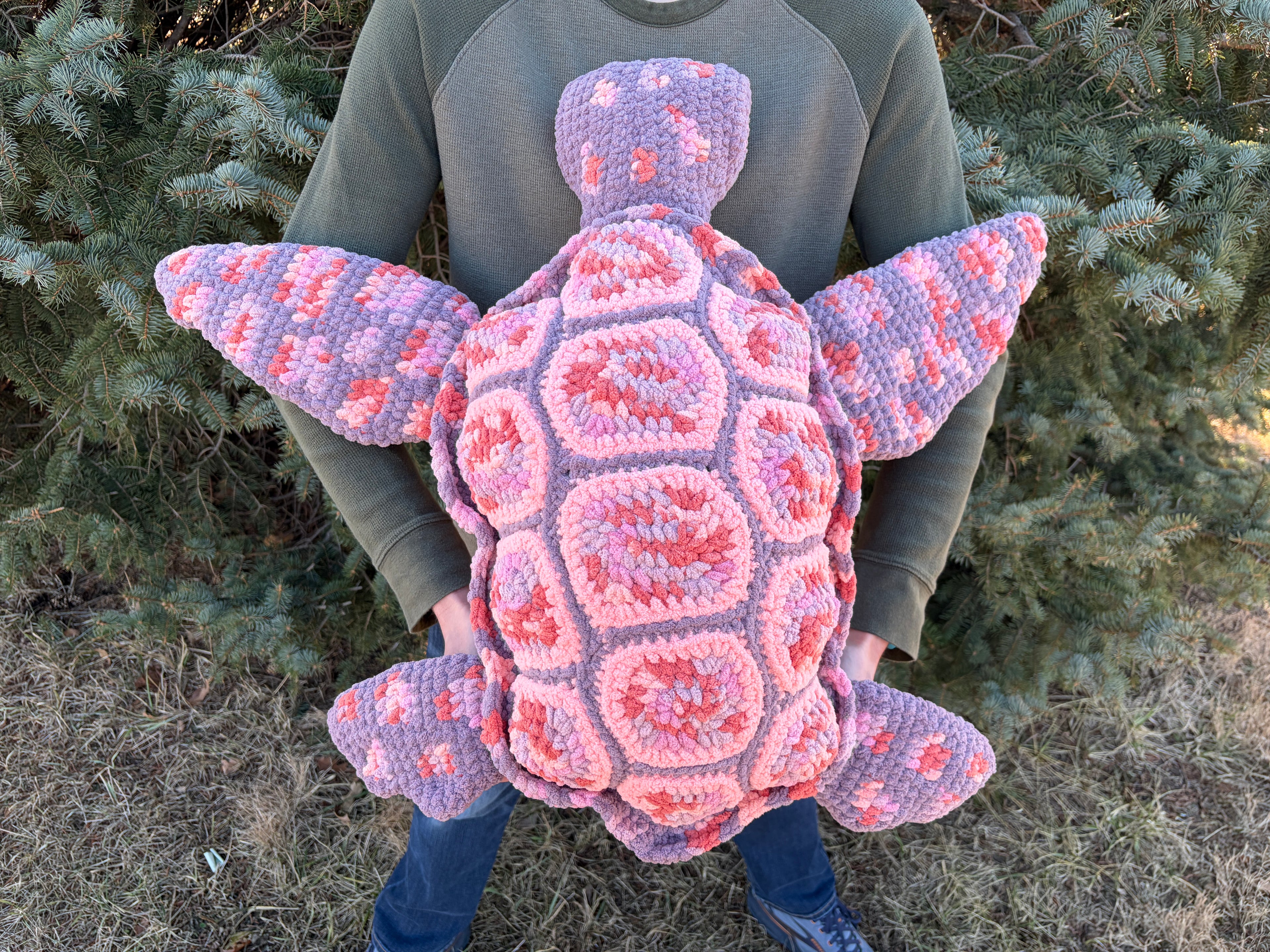 Salish the Sea Turtle