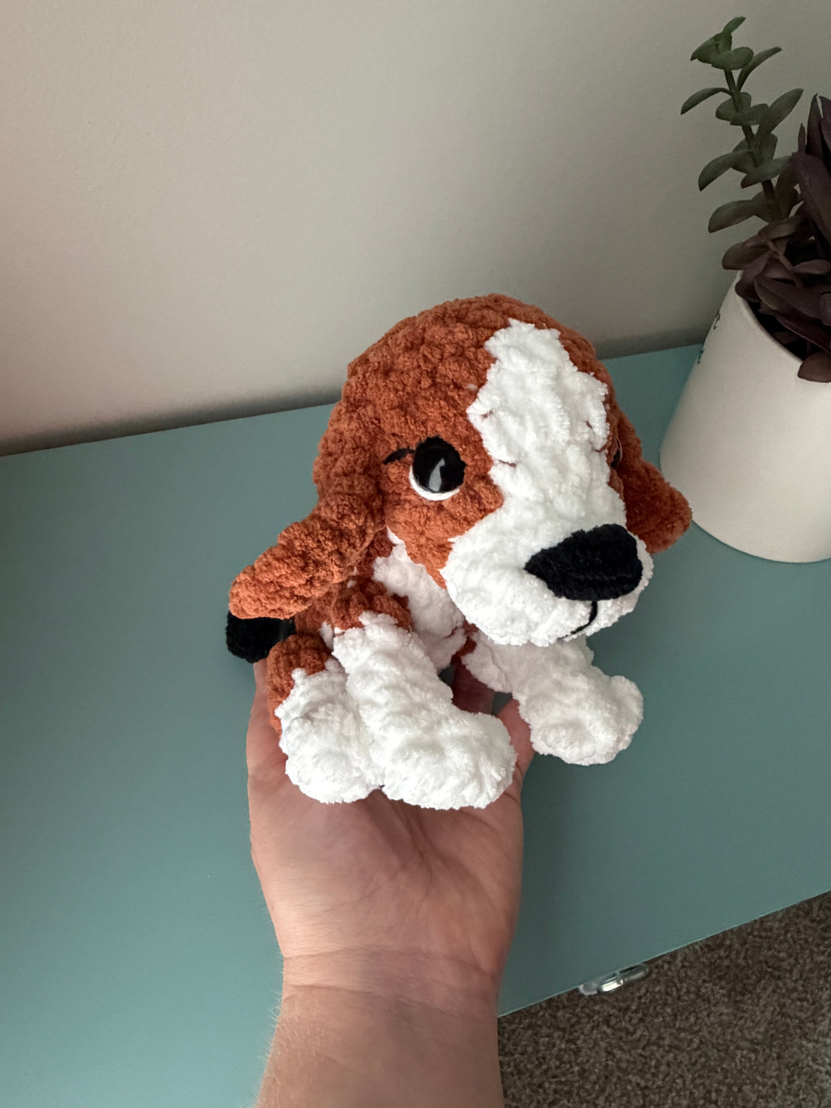 Beagle
