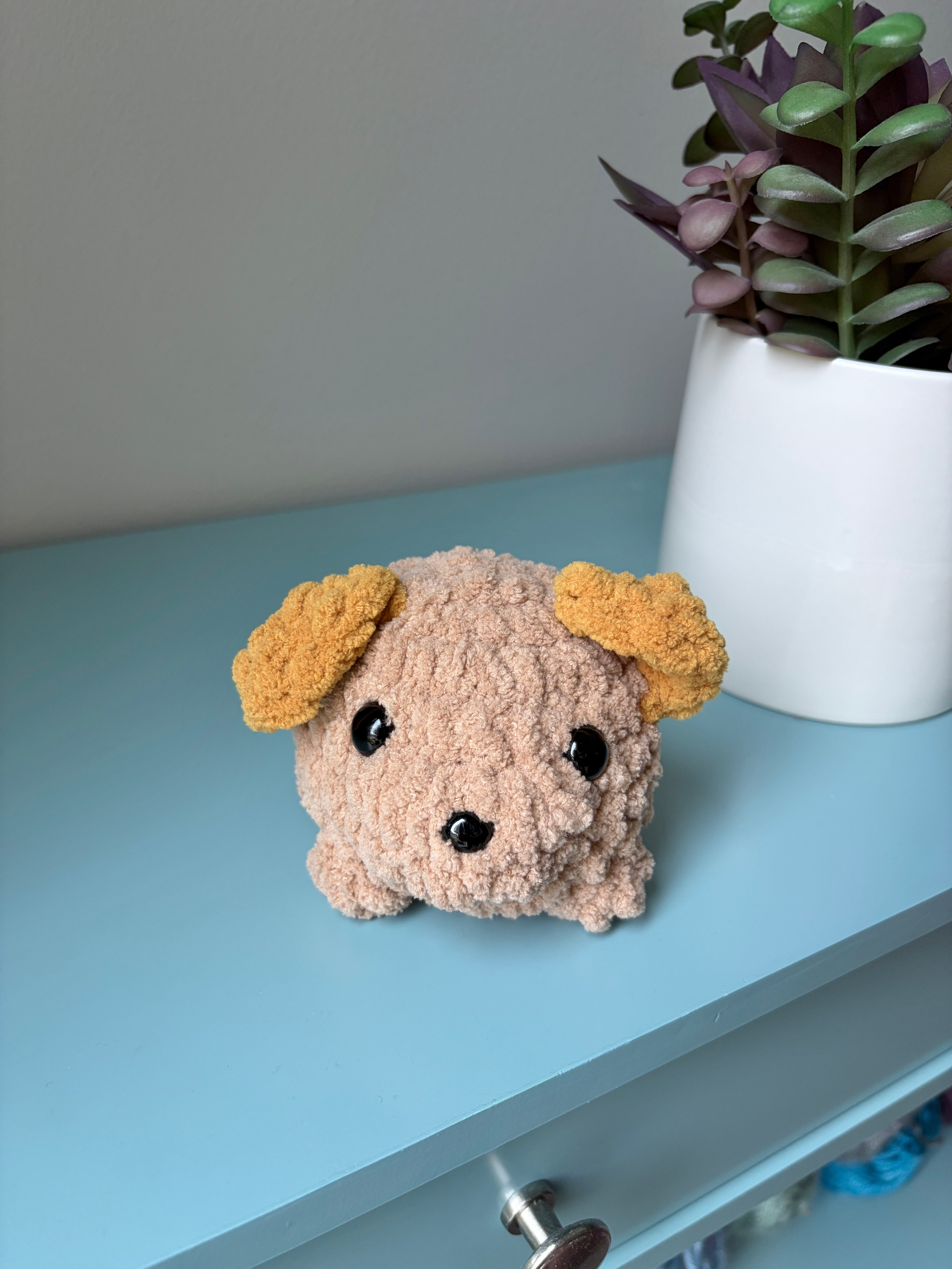 Dog - small