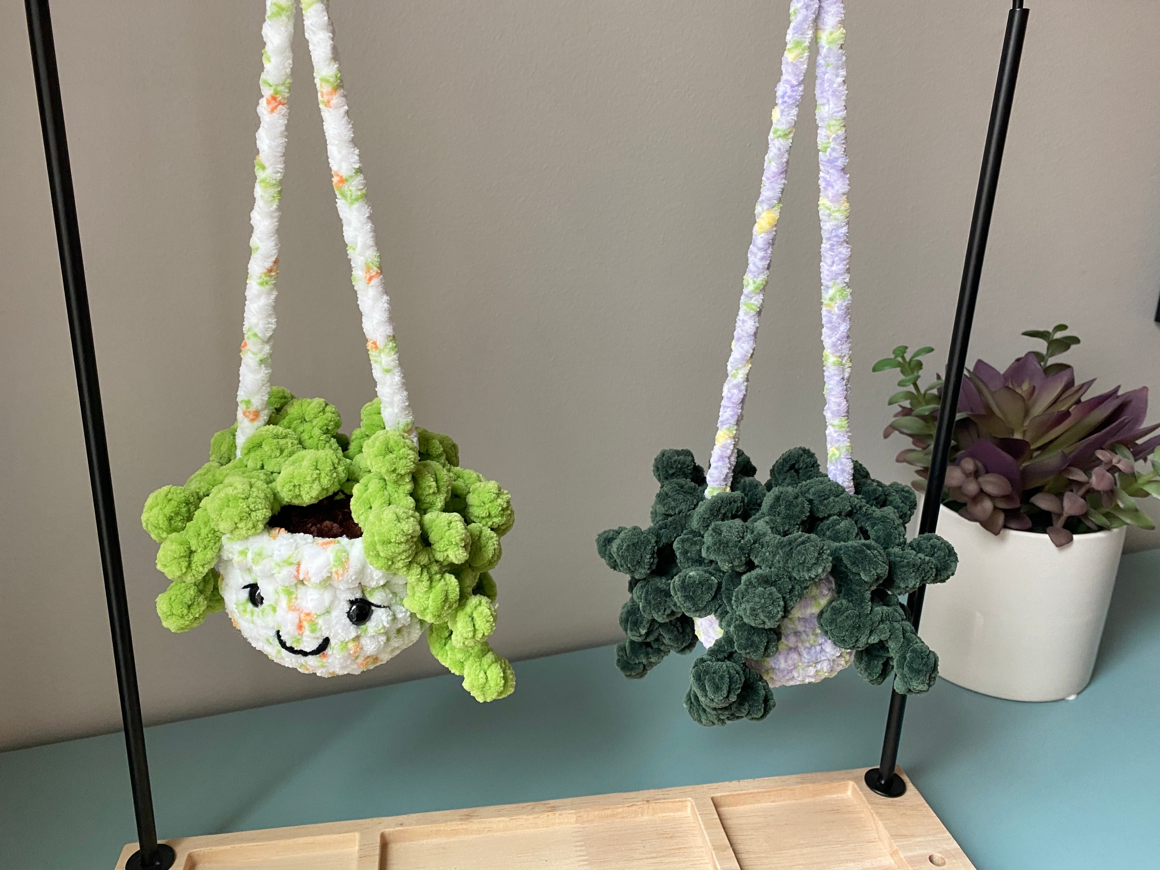 Hanging Plant - String of Pearls