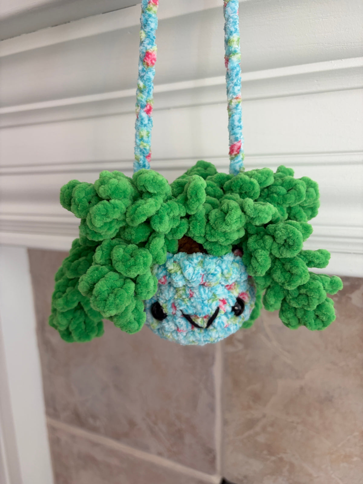 Hanging Plant - Burrow’s Tail