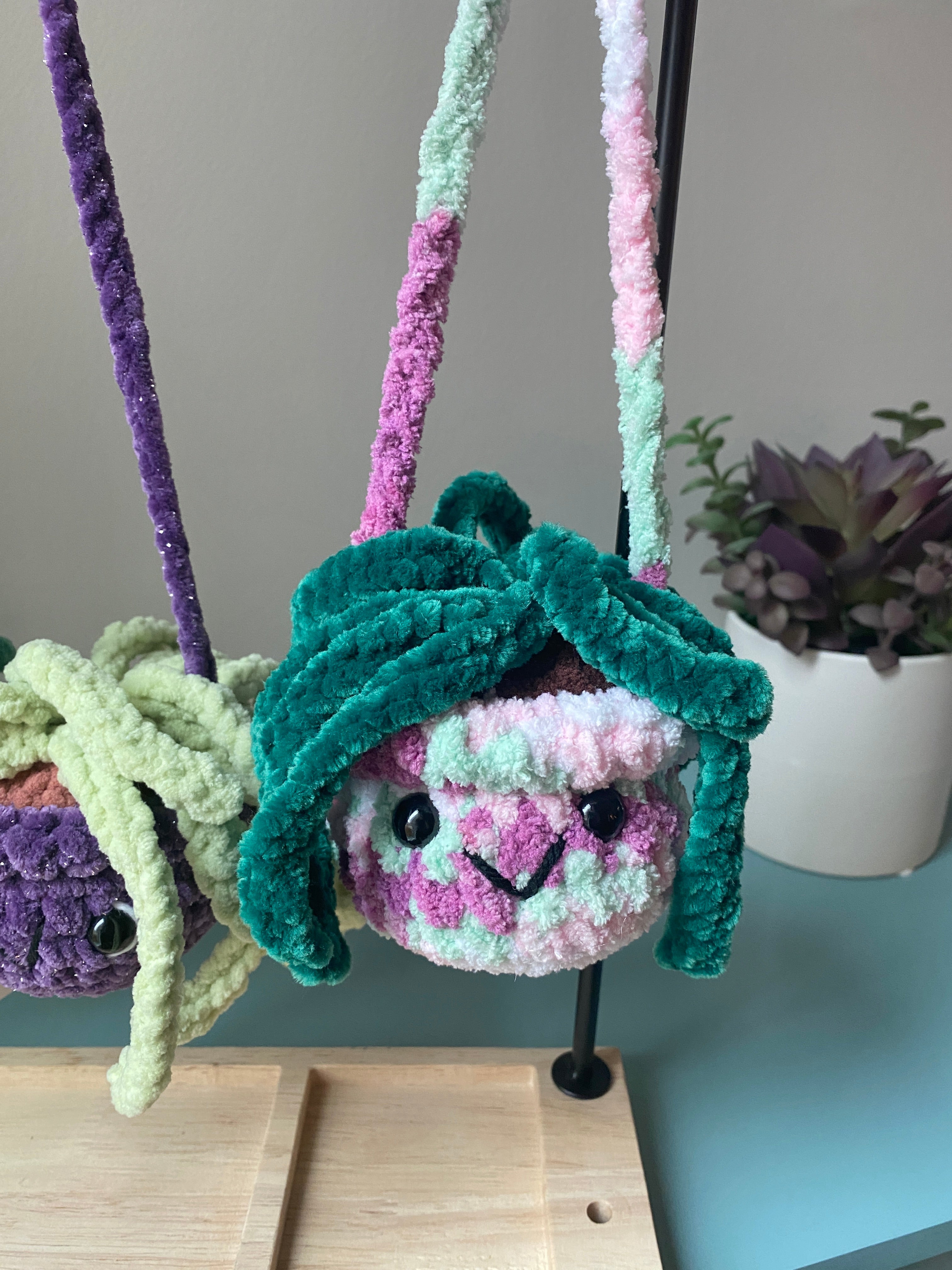 Hanging Plant - Spider