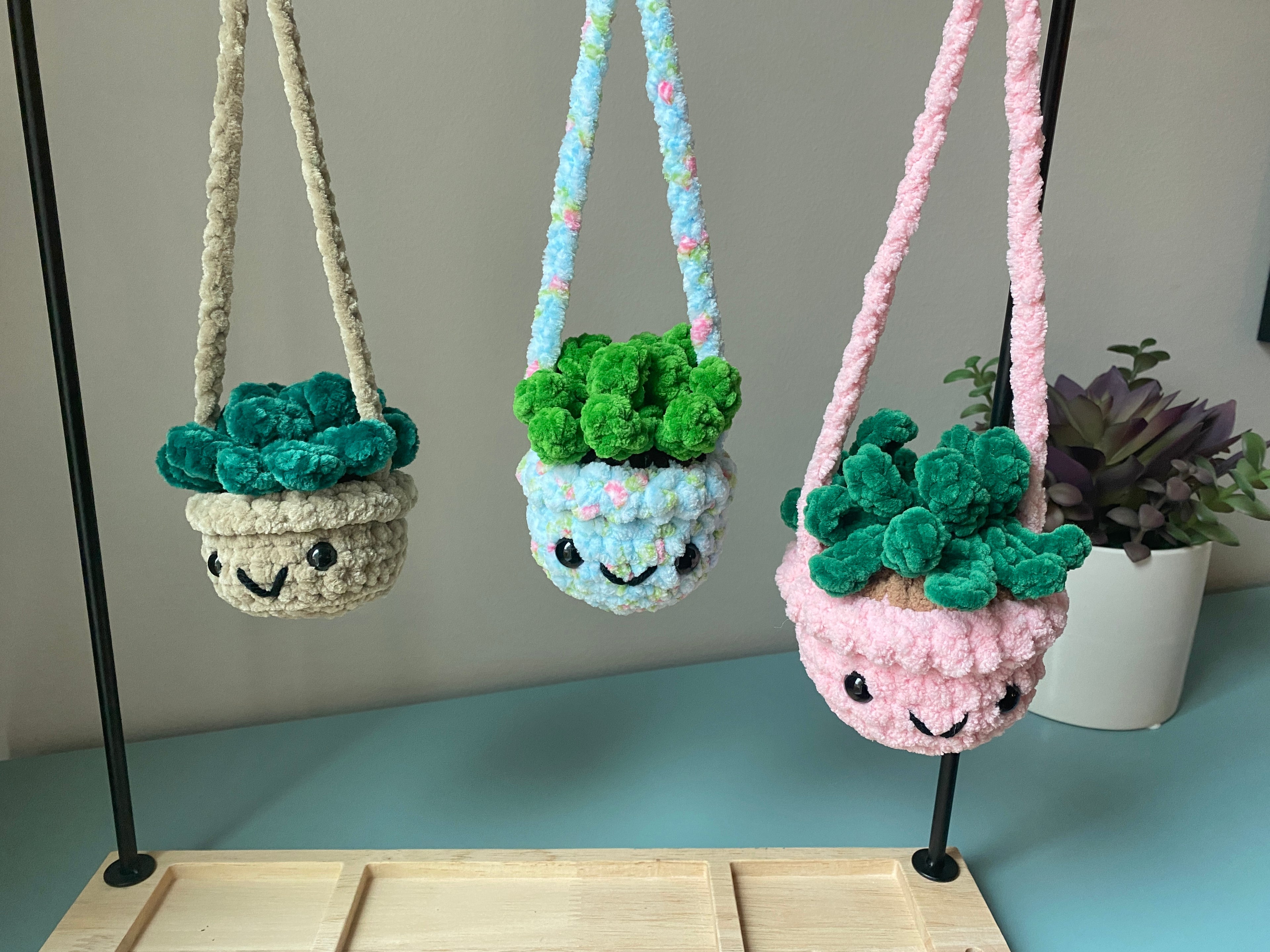 Hanging Plant - Agave