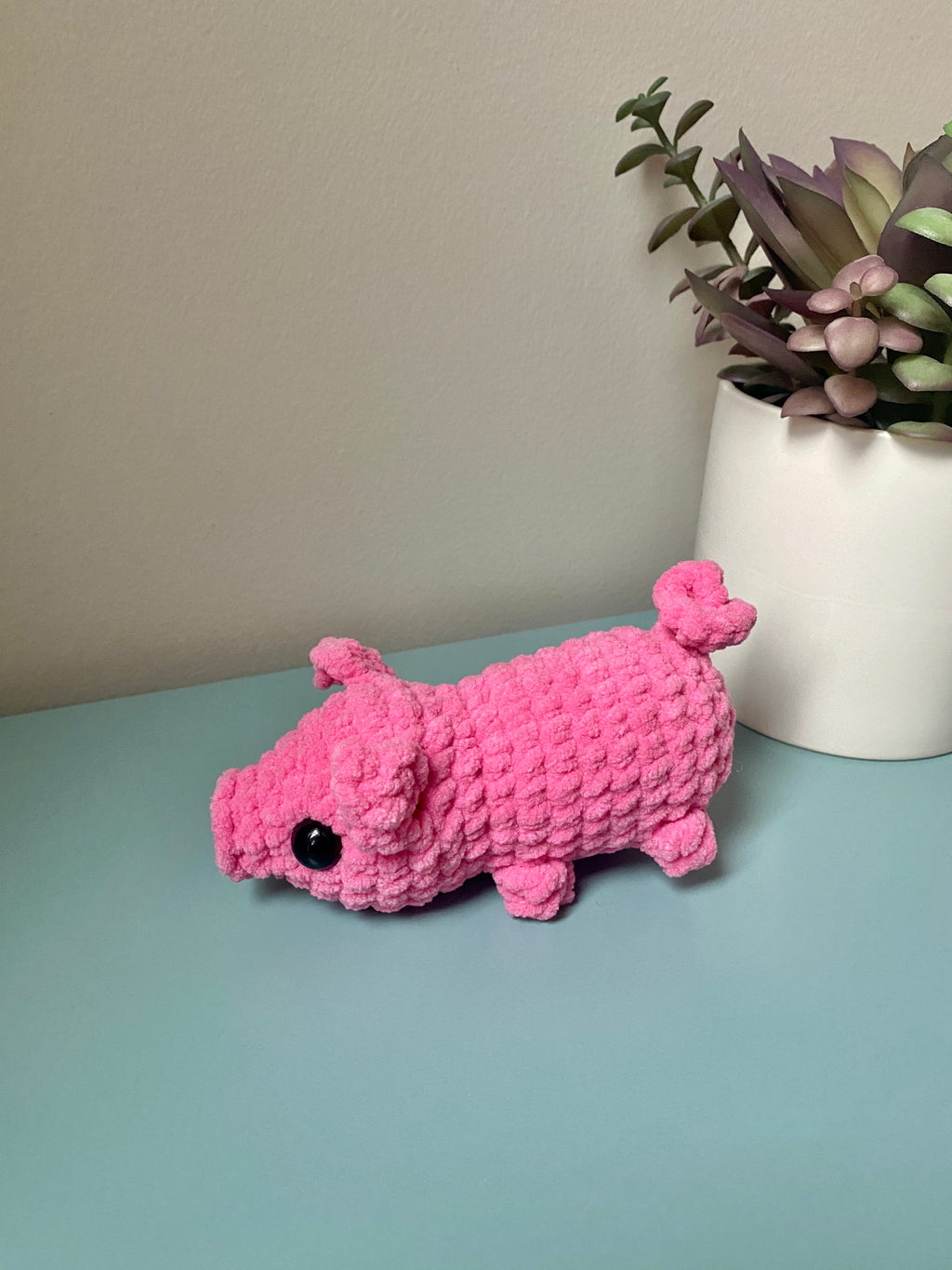 Petunia the Pig