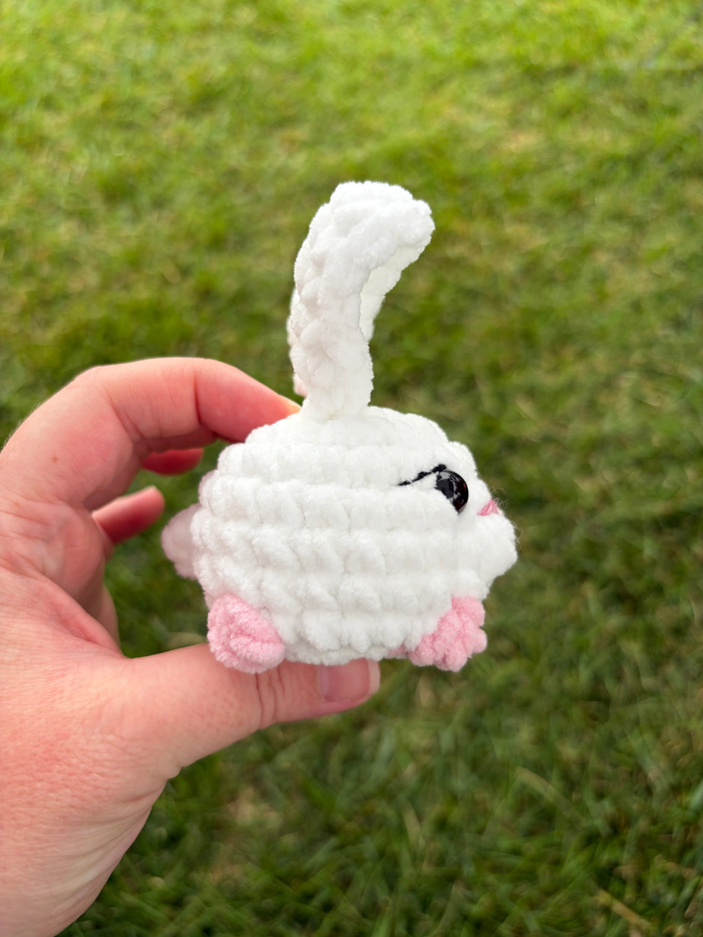 Pet - small