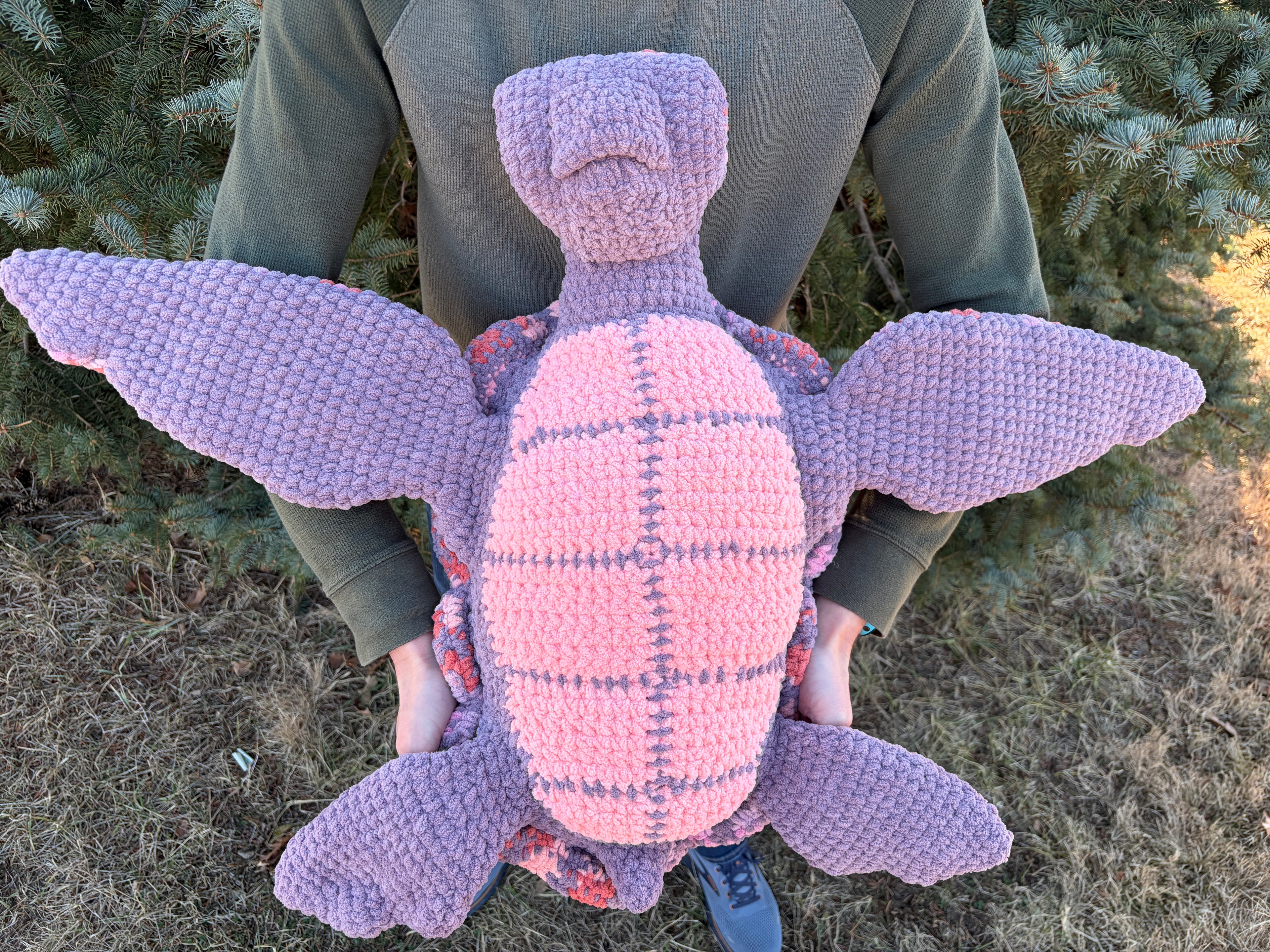 Salish the Sea Turtle