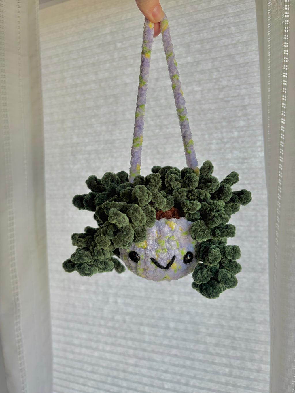 Hanging Plant - Burrow’s Tail