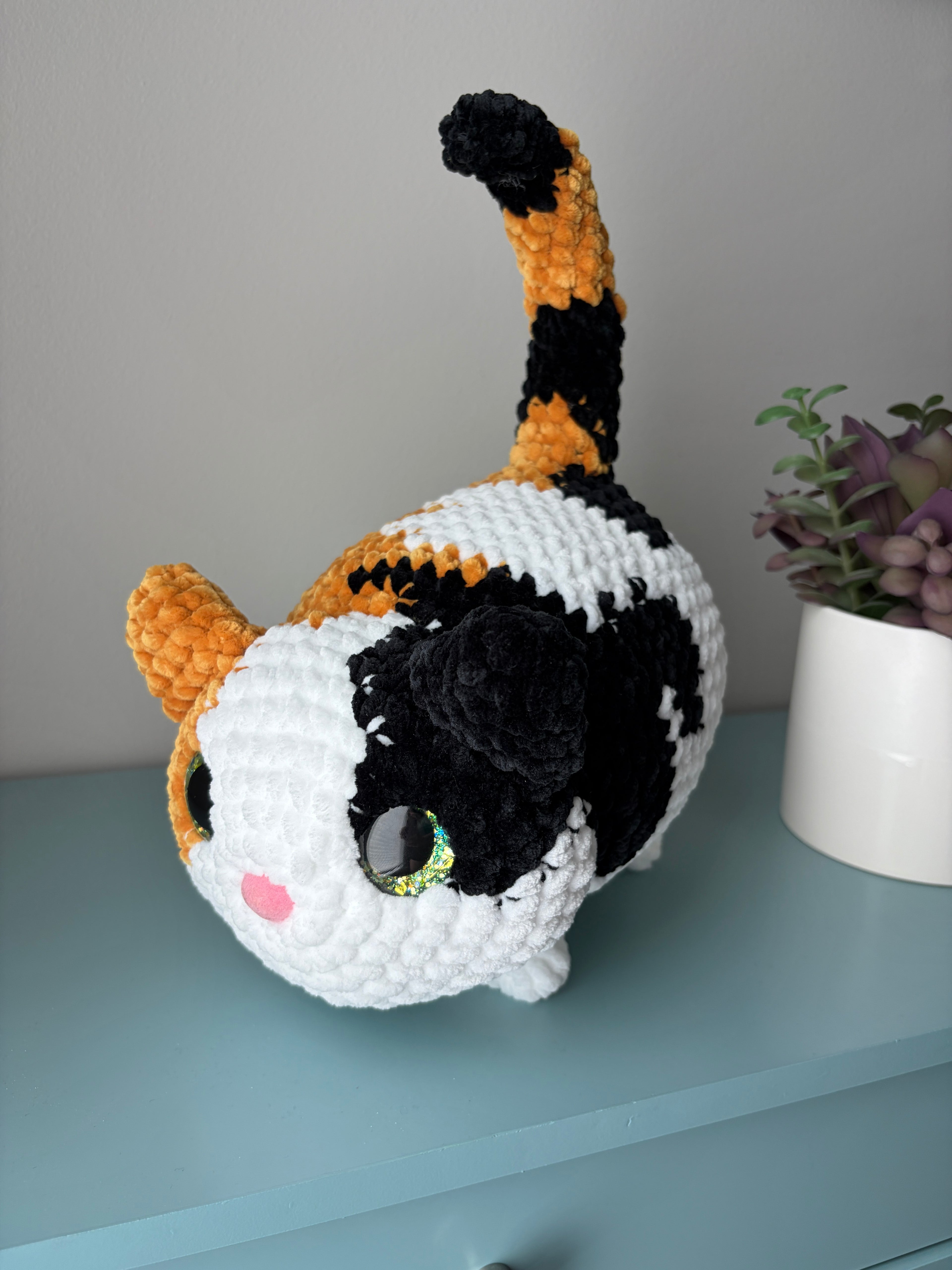 Chonky Cat
