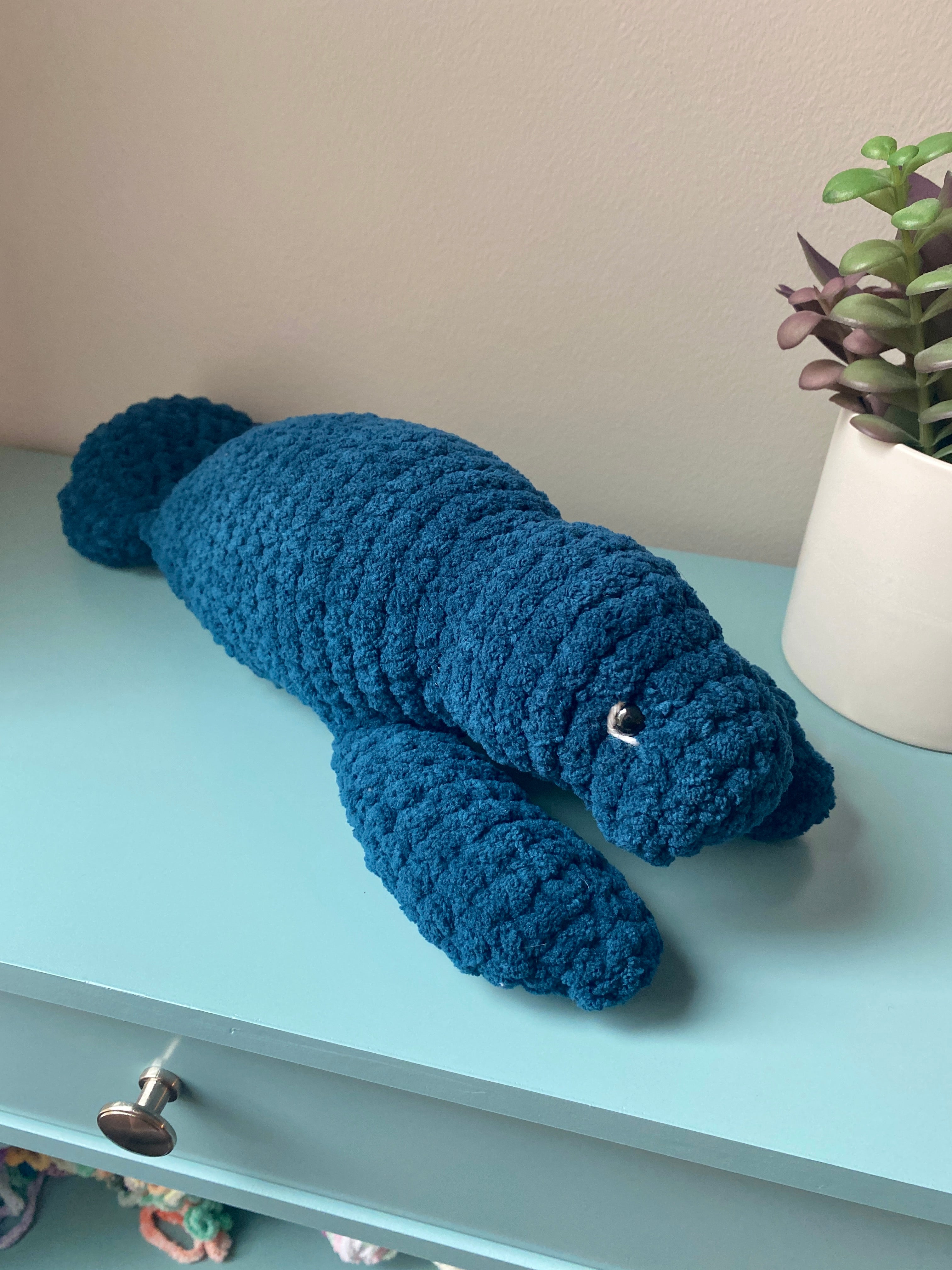 Milo the baby Manatee