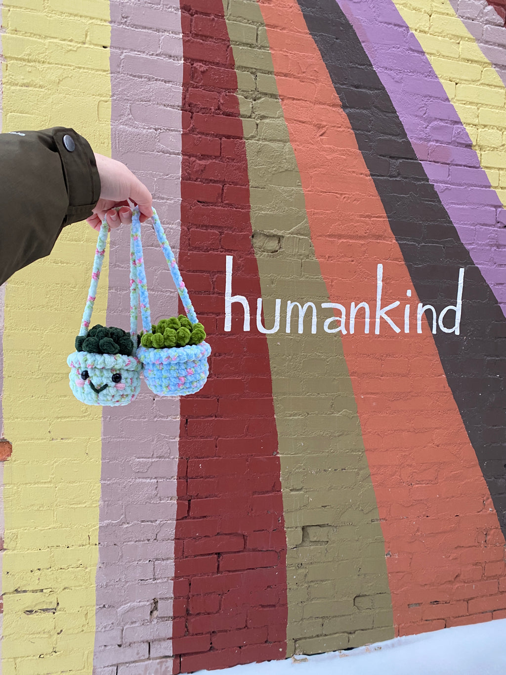 Hanging Plant - Agave