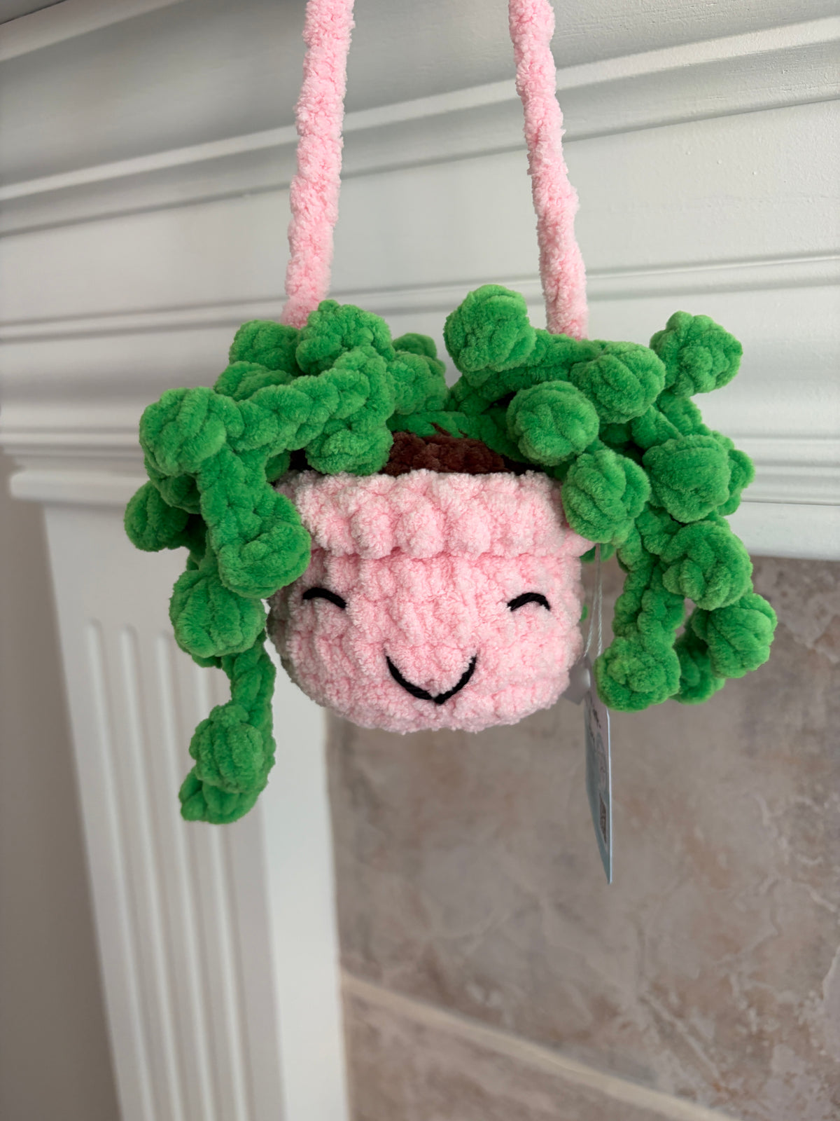Hanging Plant - String of Pearls