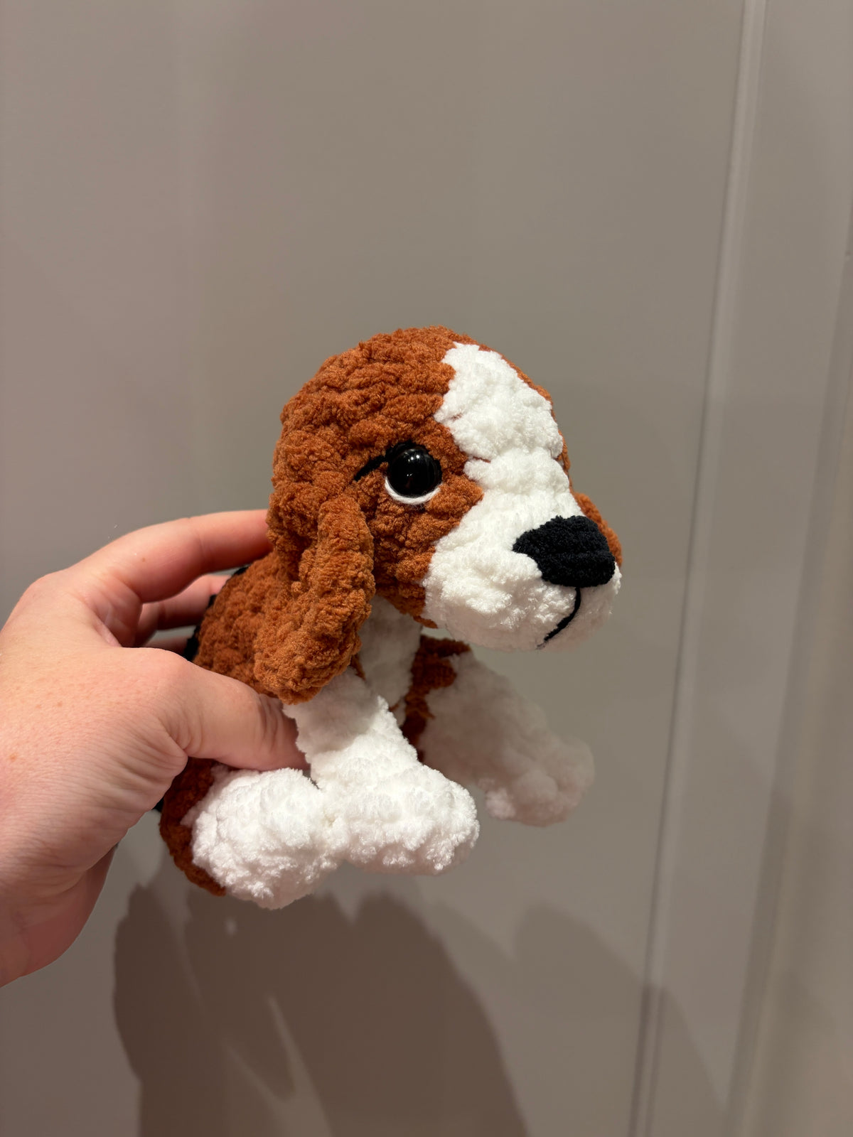 Beagle