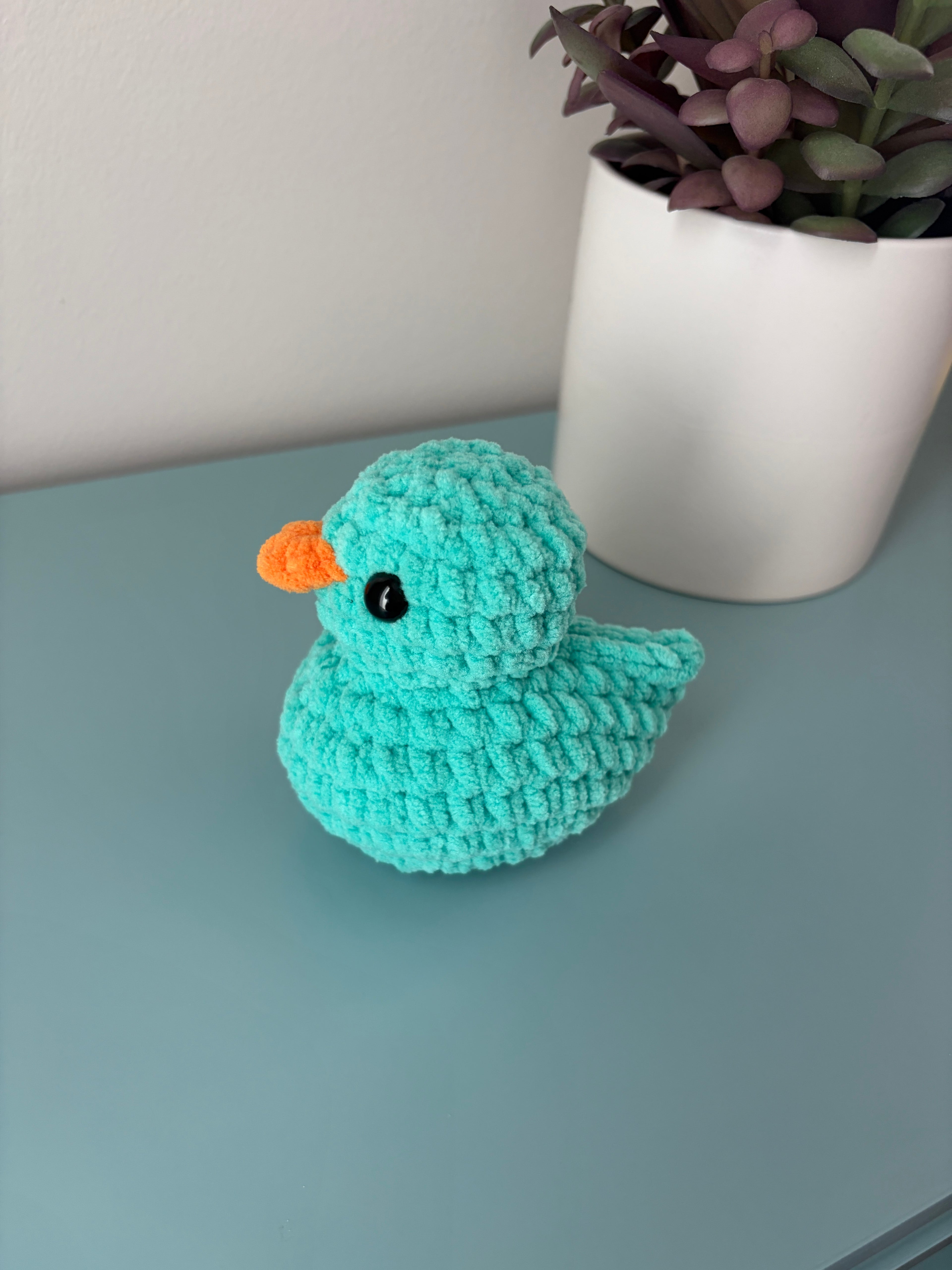Squeaker Duck