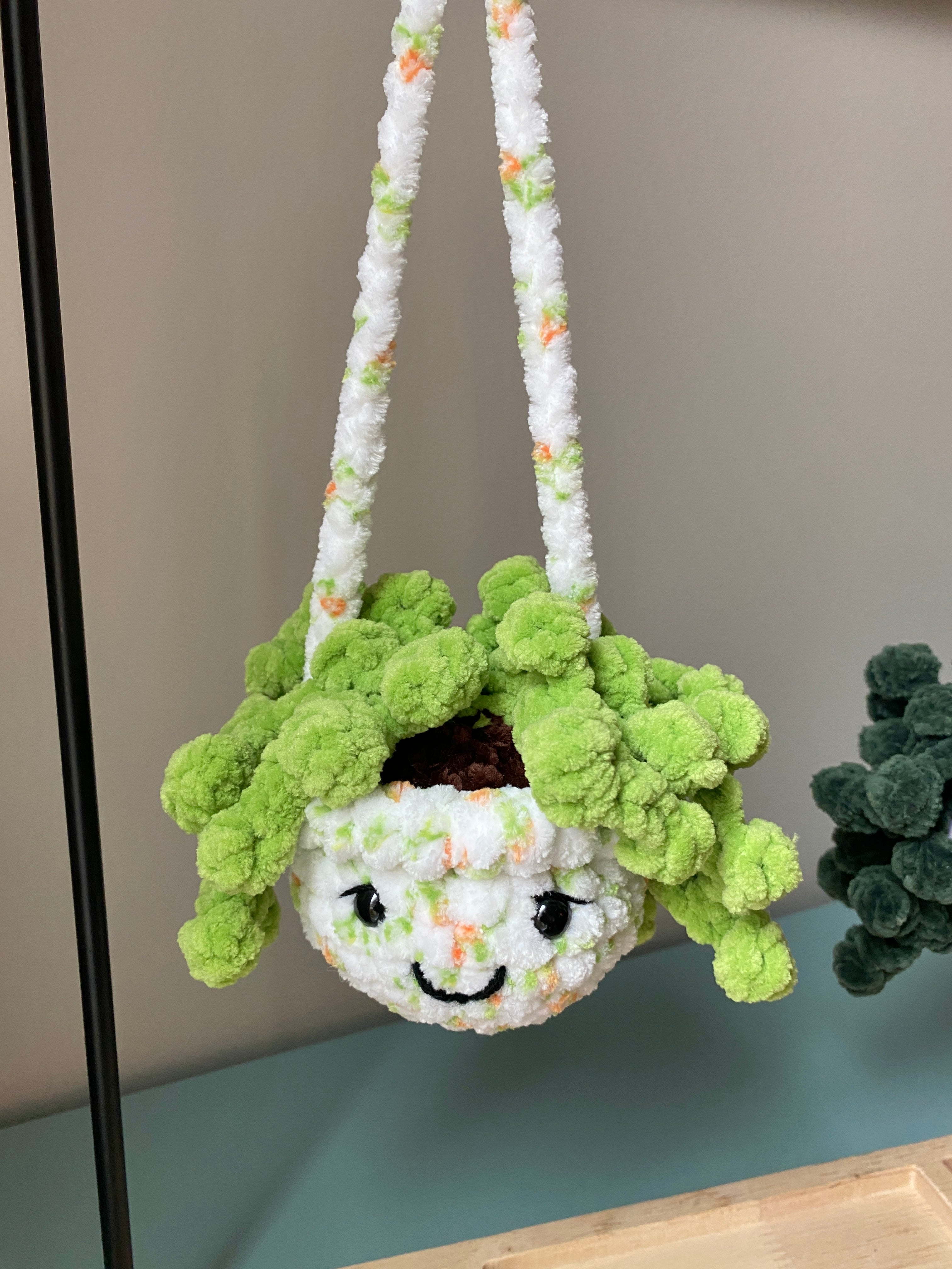 Hanging Plant - String of Pearls