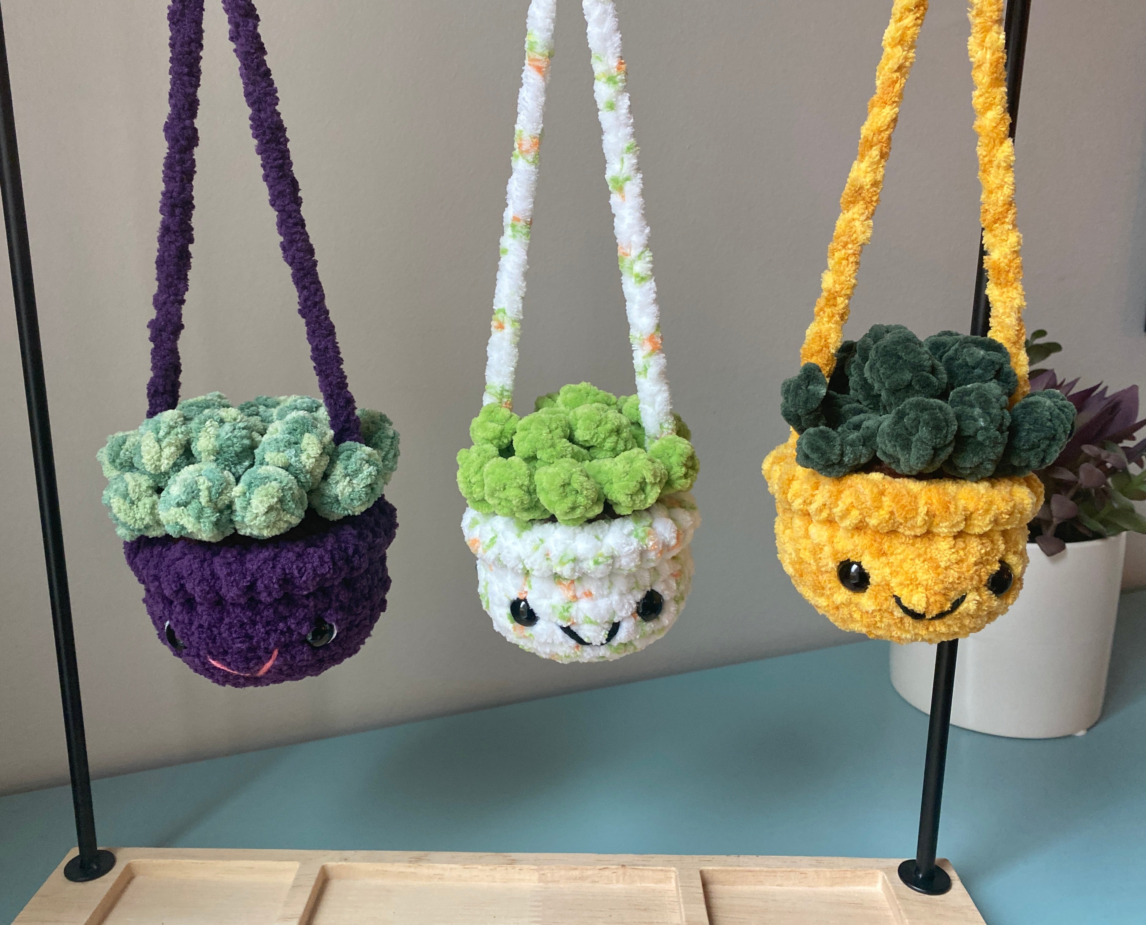 Hanging Plant - Agave