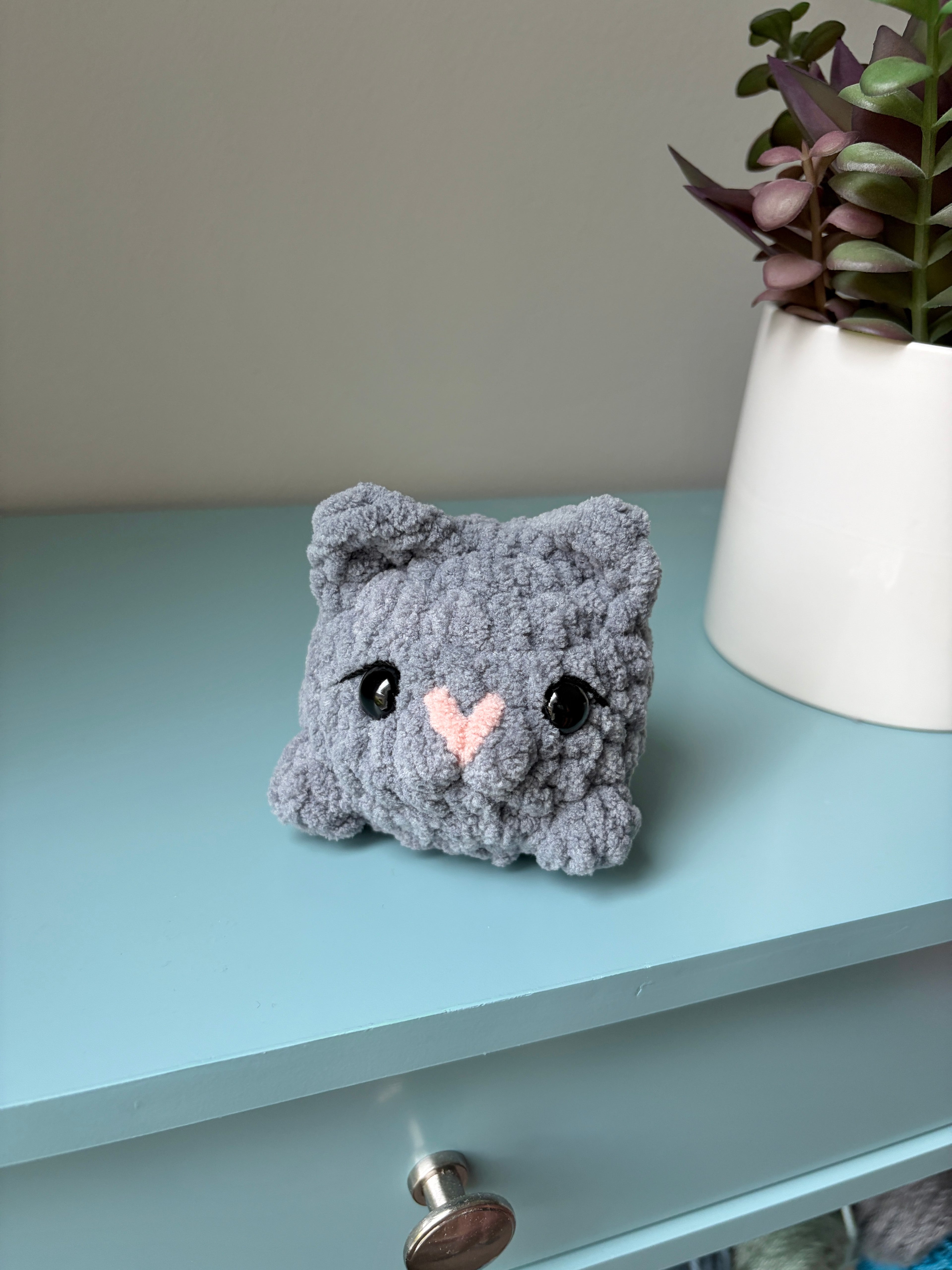 Cat - small