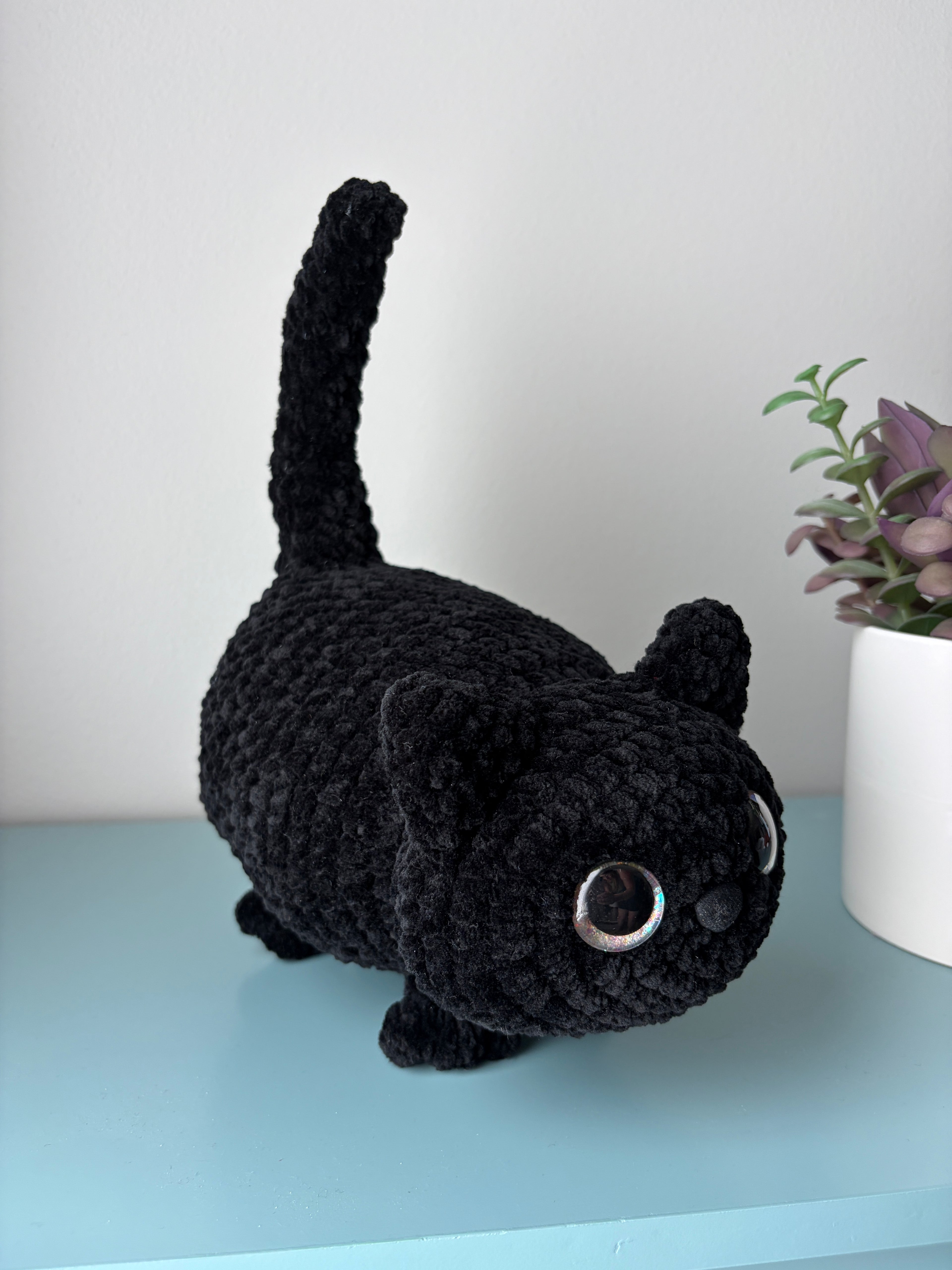 Chonky Cat