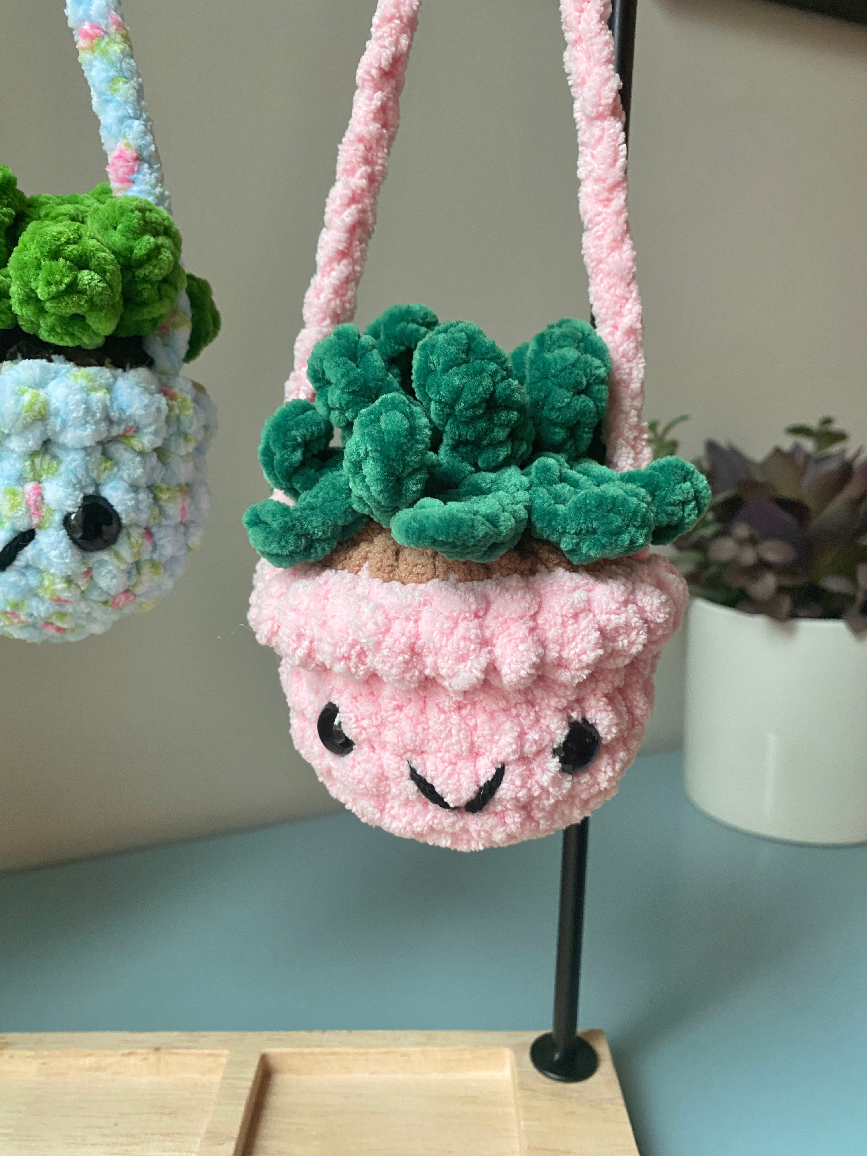 Hanging Plant - Agave