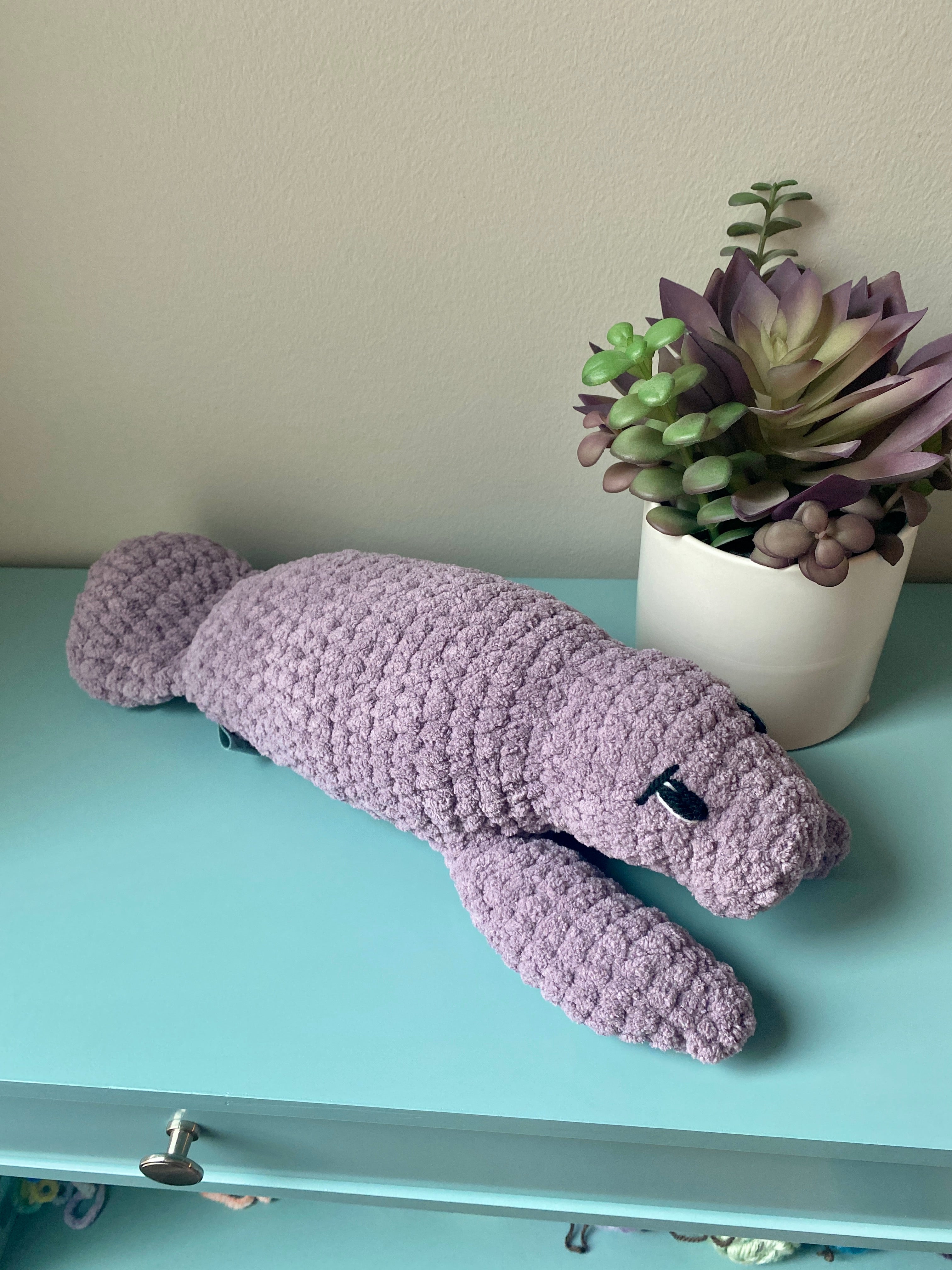 Milo the baby Manatee