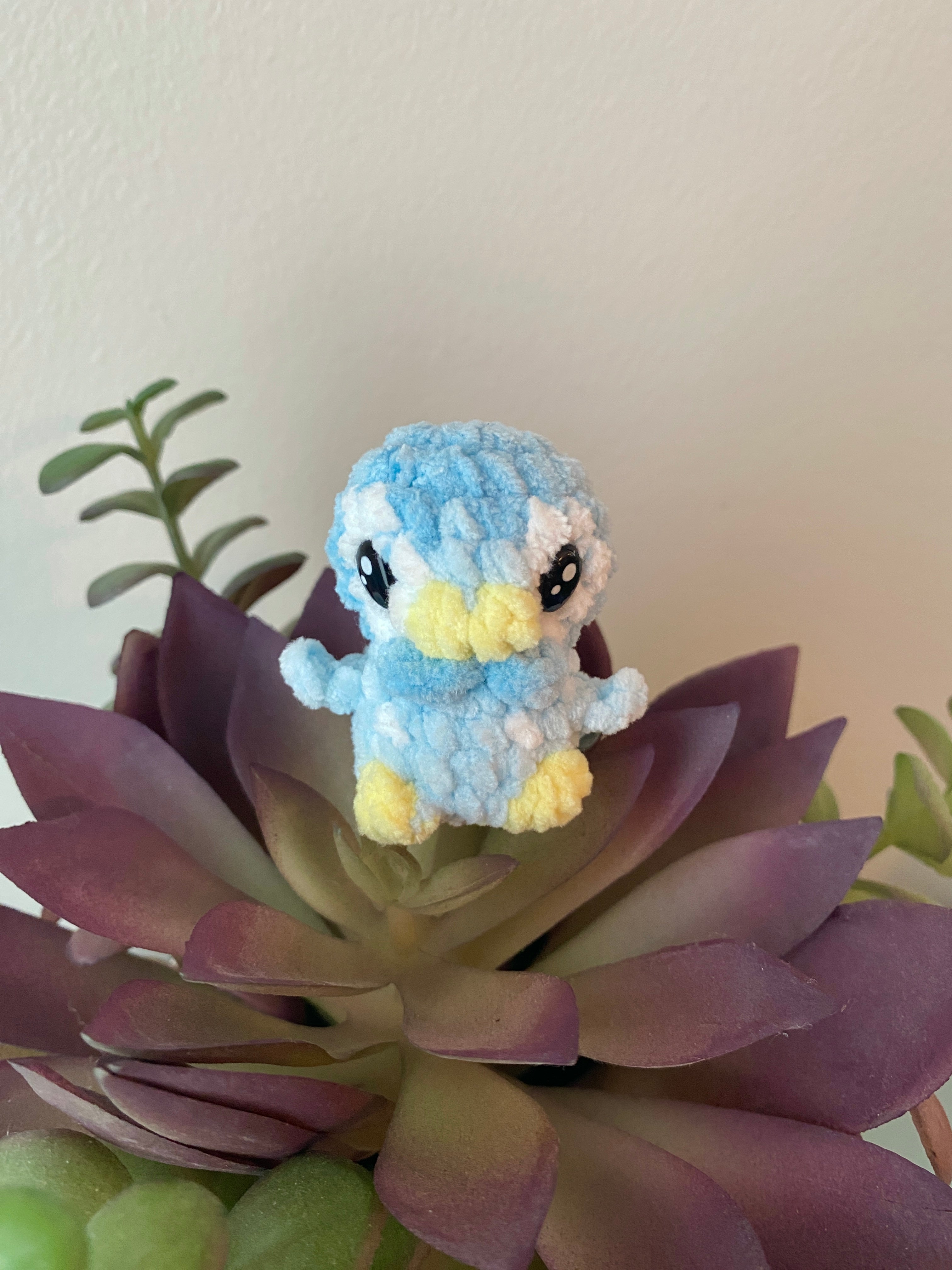 Piplup