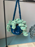 Hanging Plant - Curly