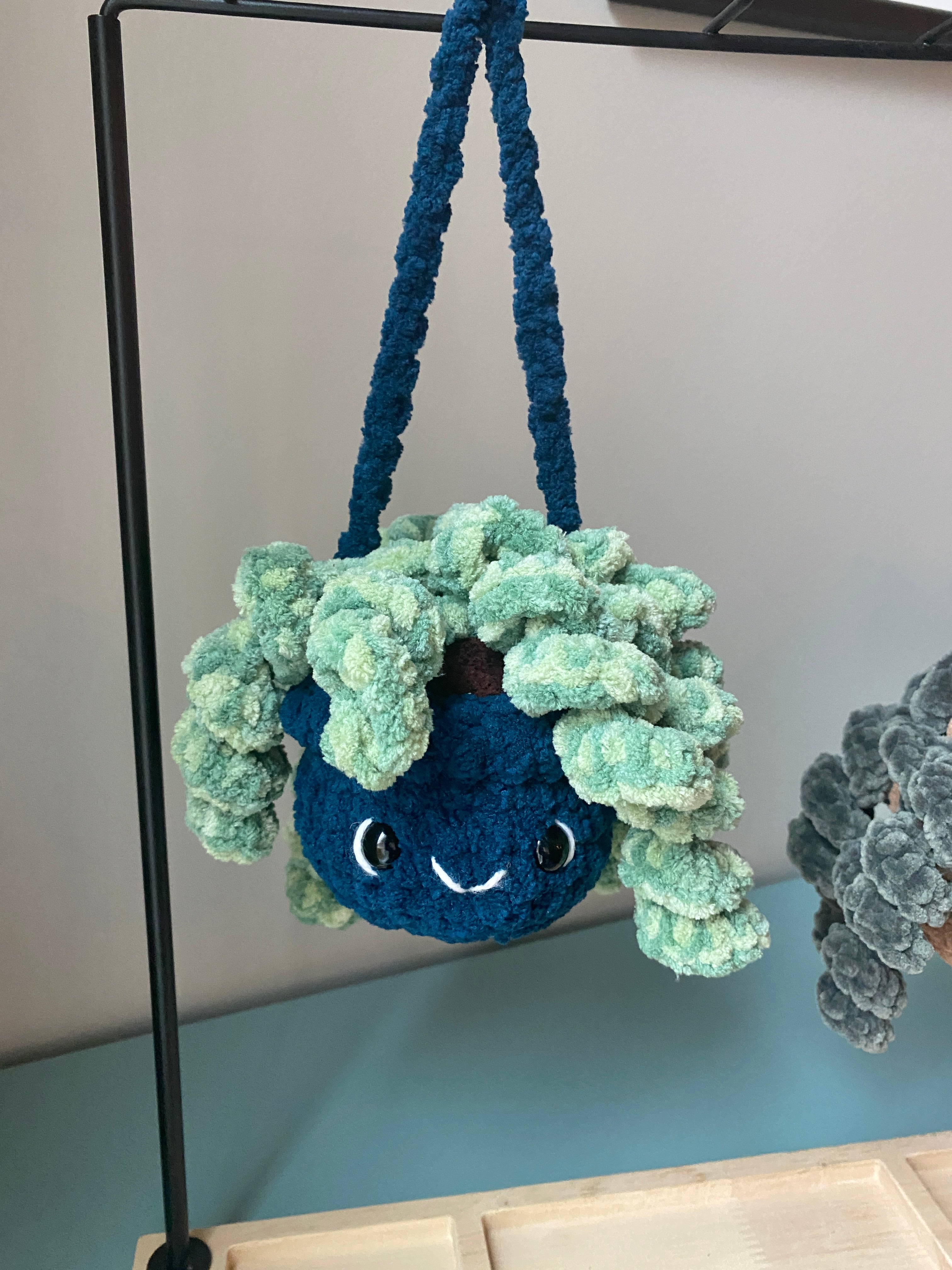 Hanging Plant - Curly