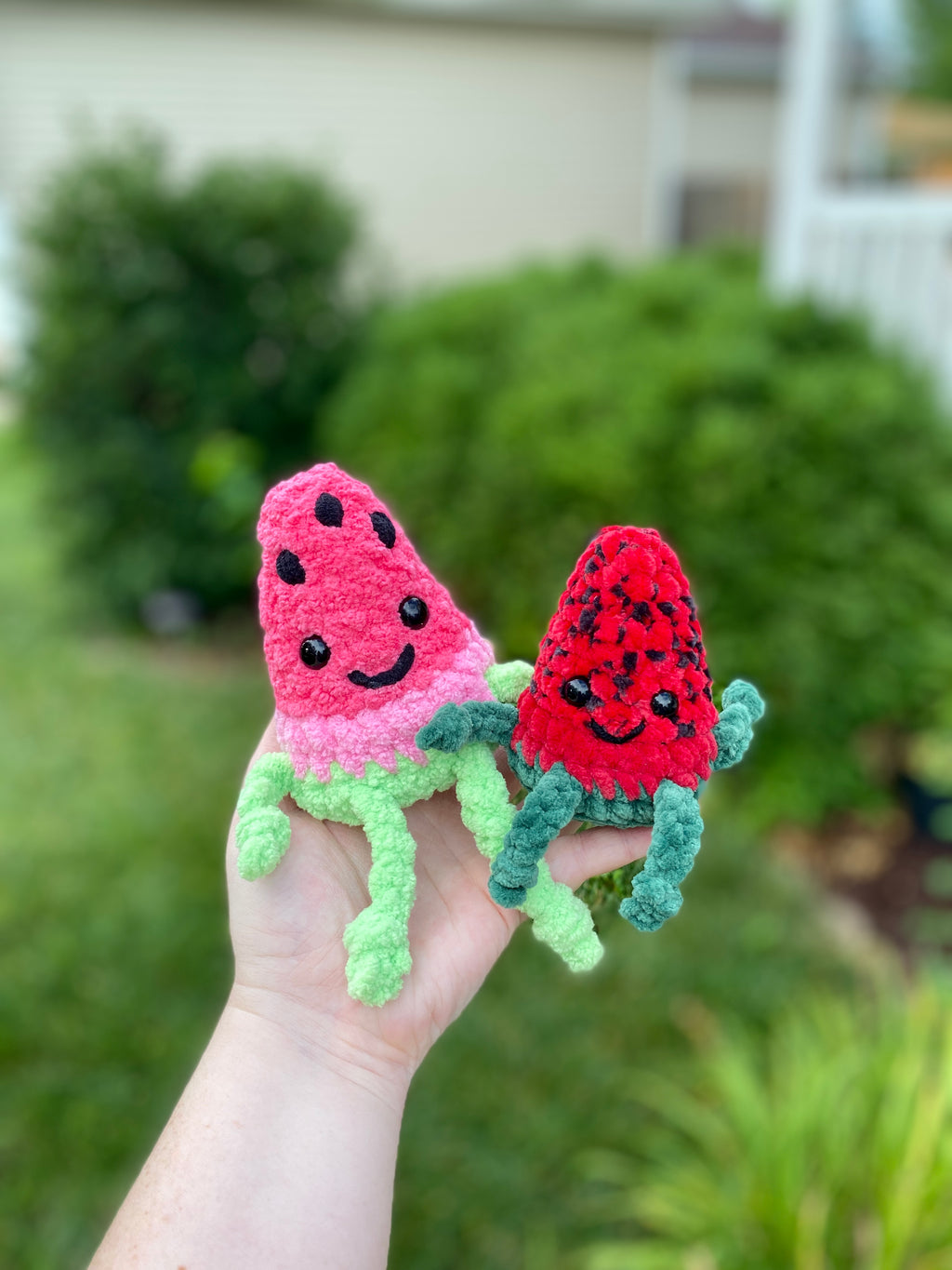Watermelon Buddy