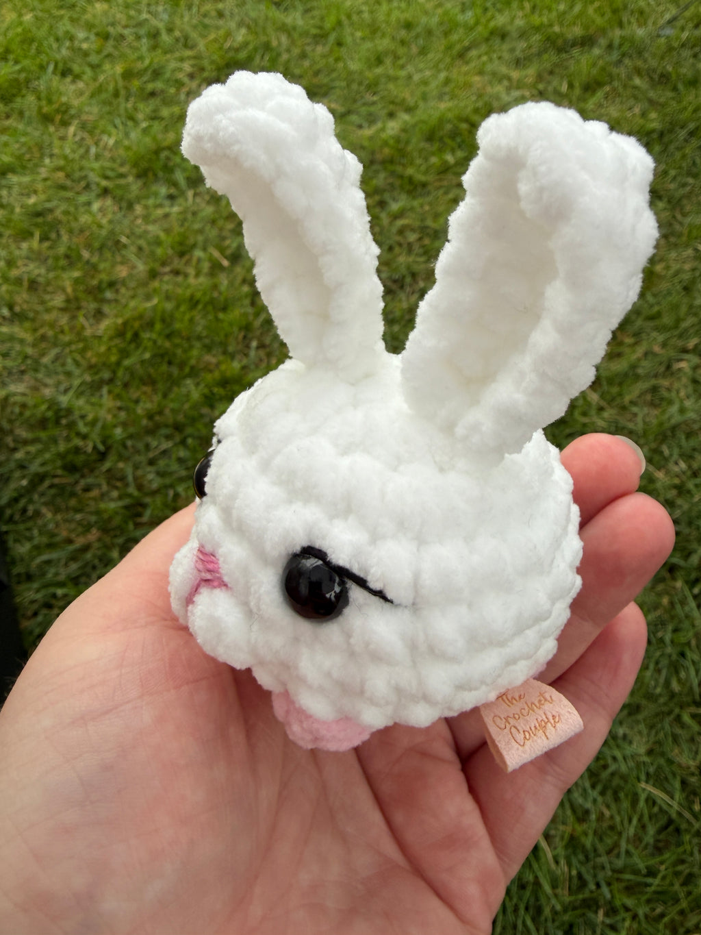 Pet - small