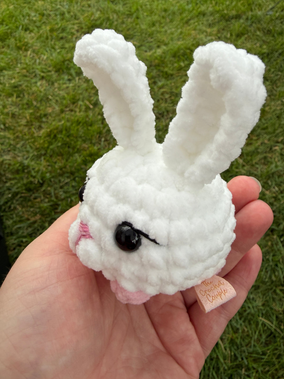 Pet - small
