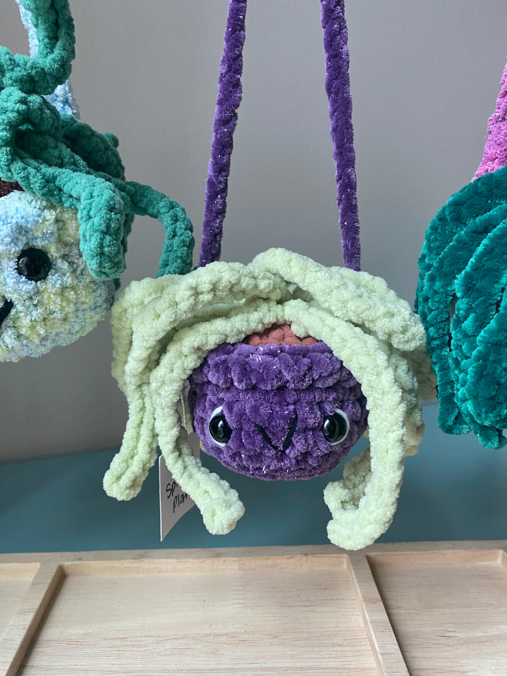 Hanging Plant - Spider