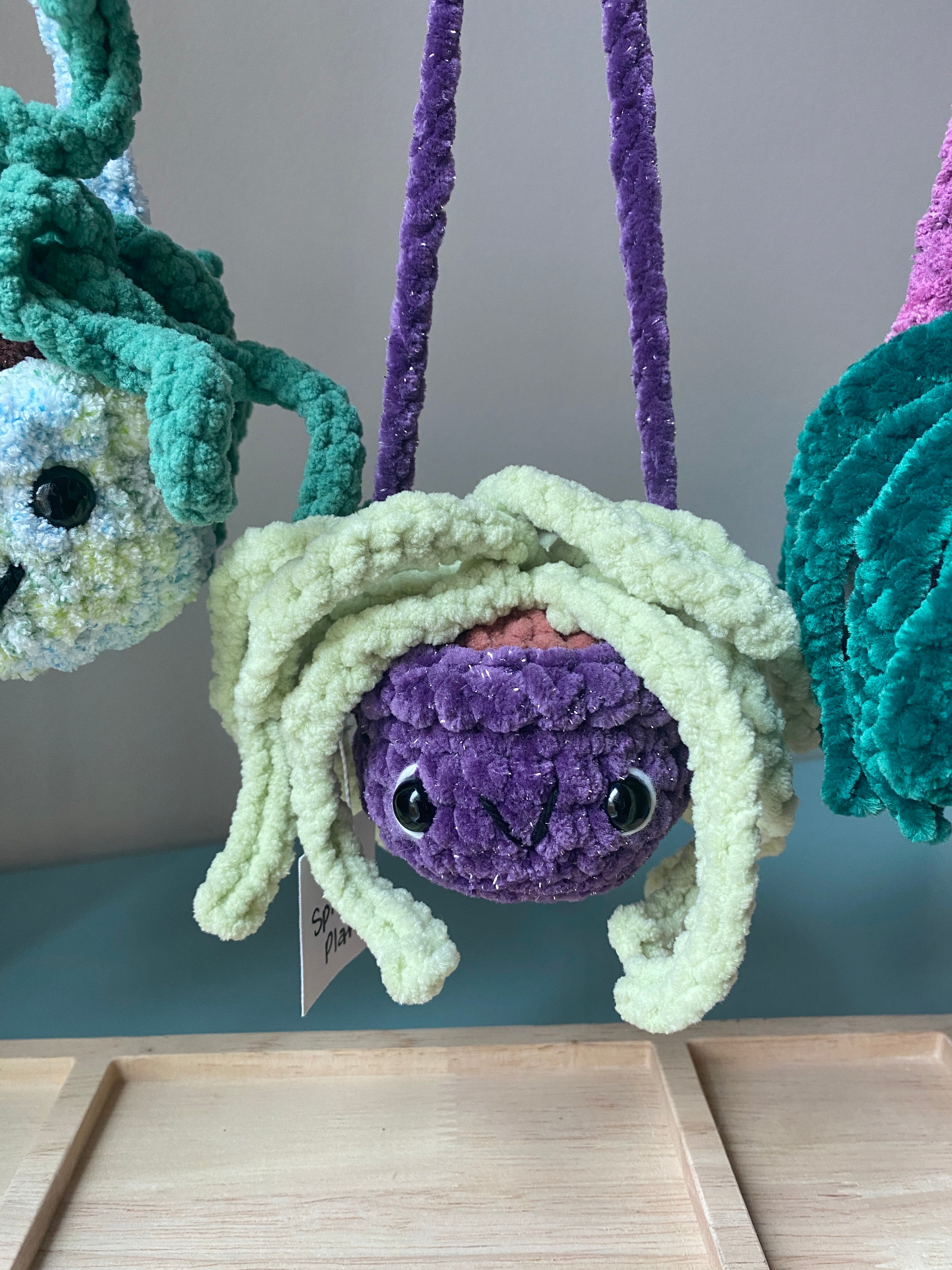 Hanging Plant - Spider