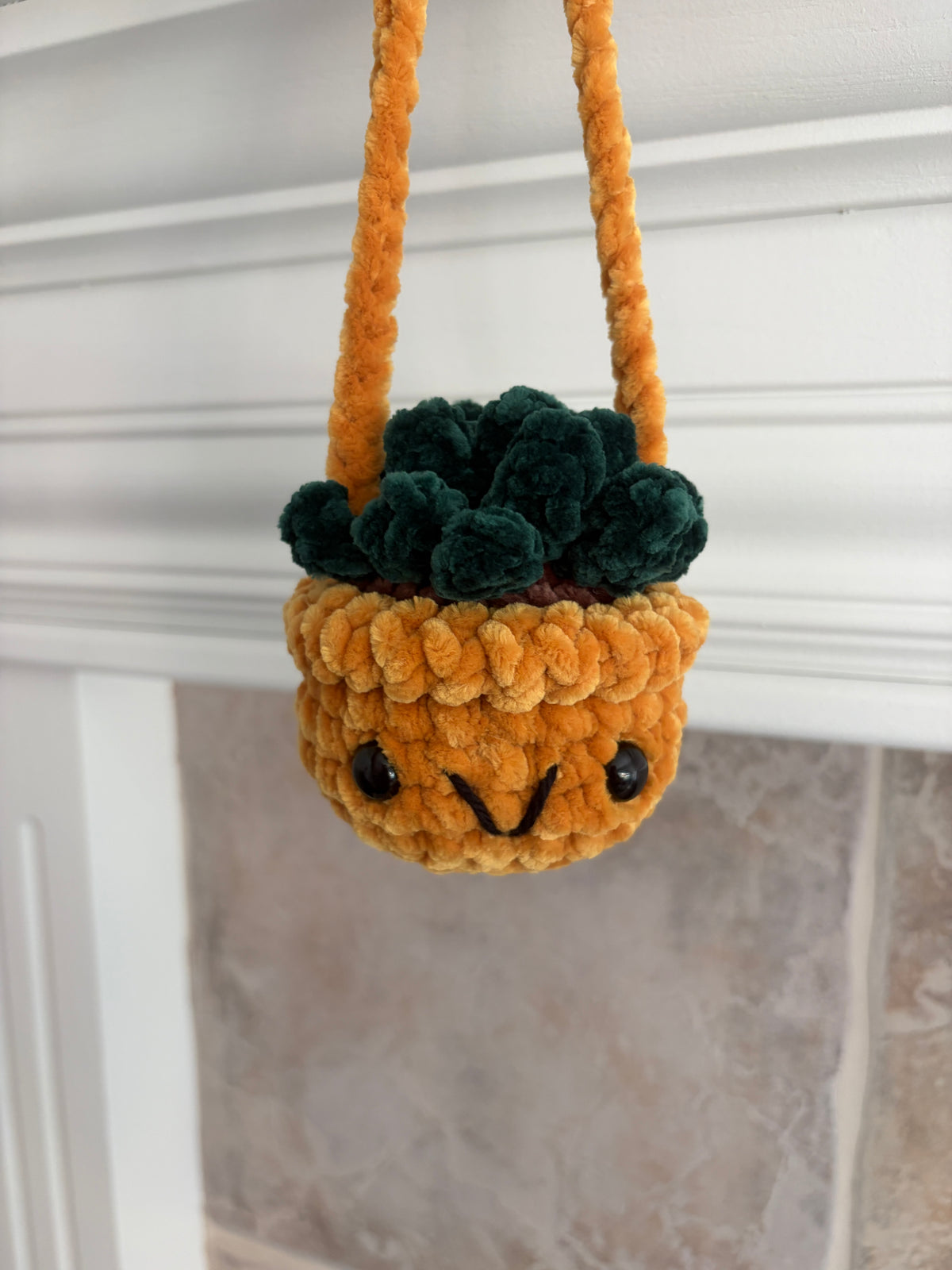 Hanging Plant - Agave