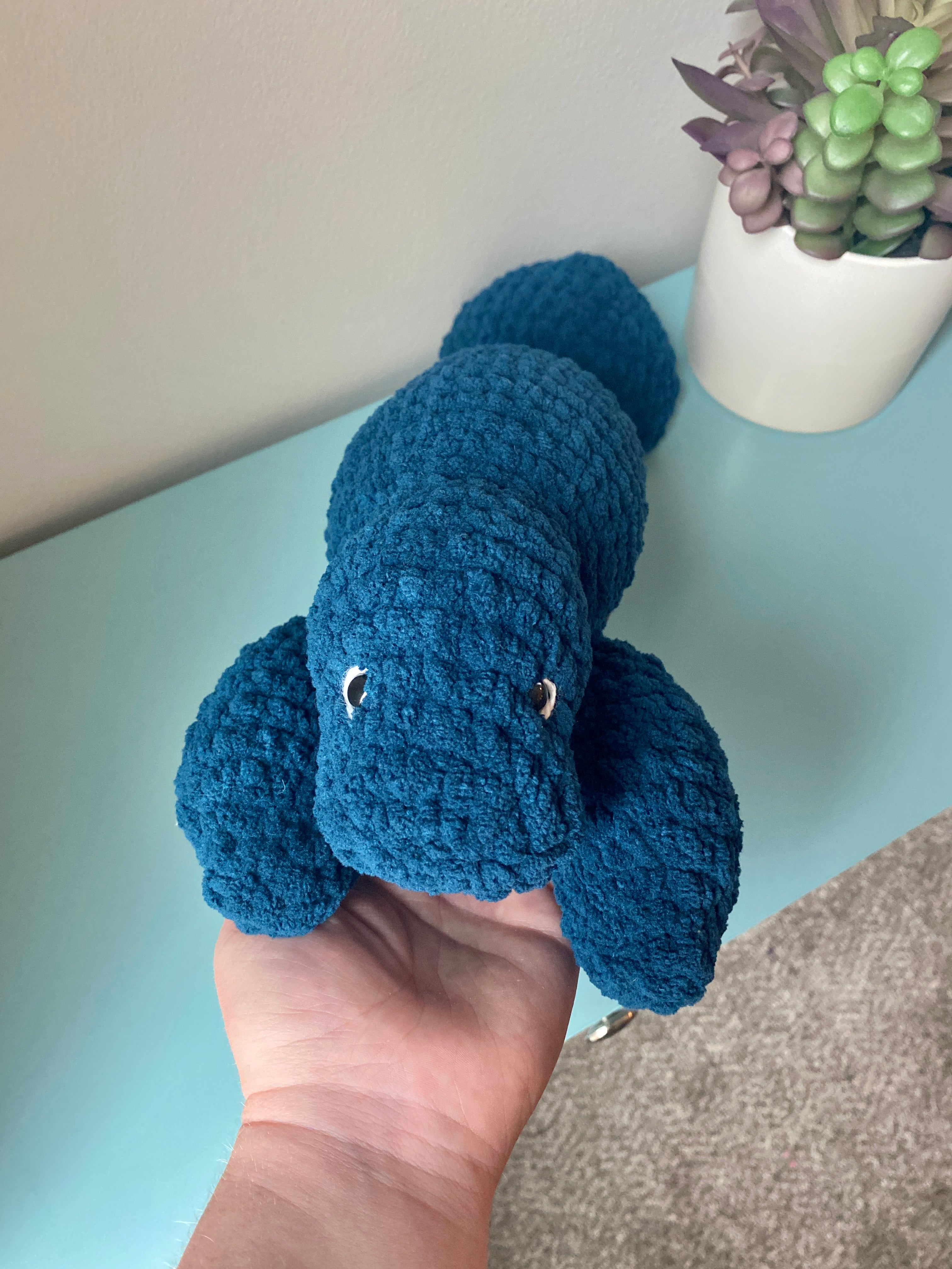 Milo the baby Manatee