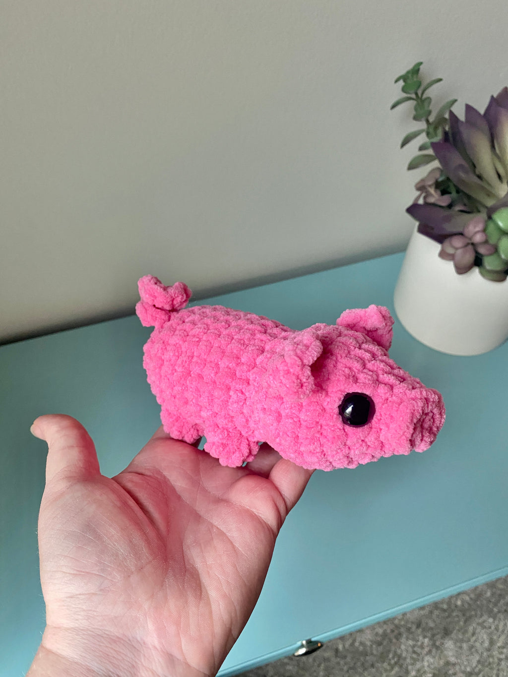 Petunia the Pig