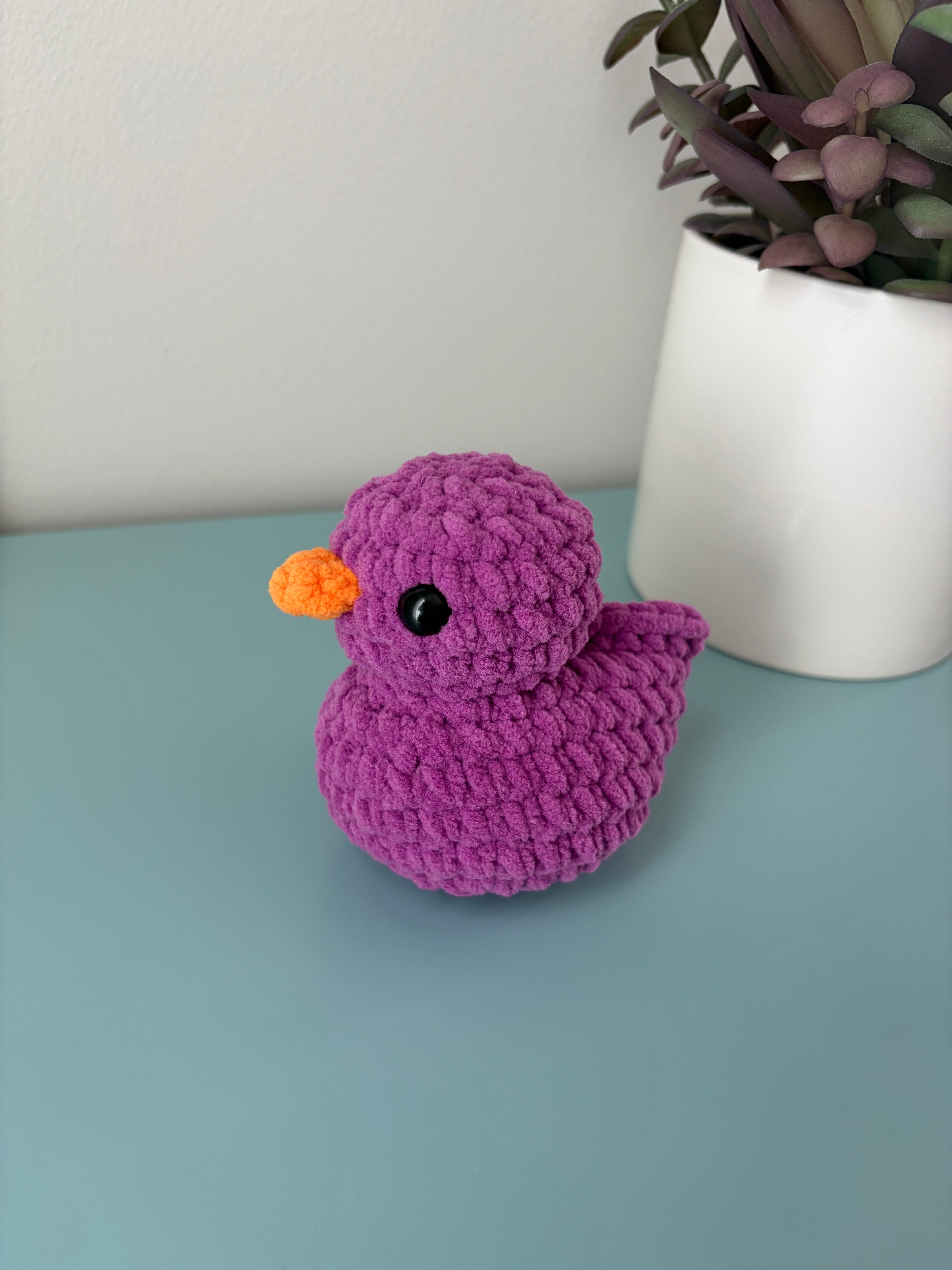 Squeaker Duck