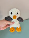 Seagull Bub