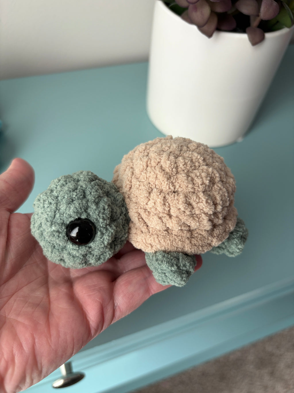 Mini Turtle